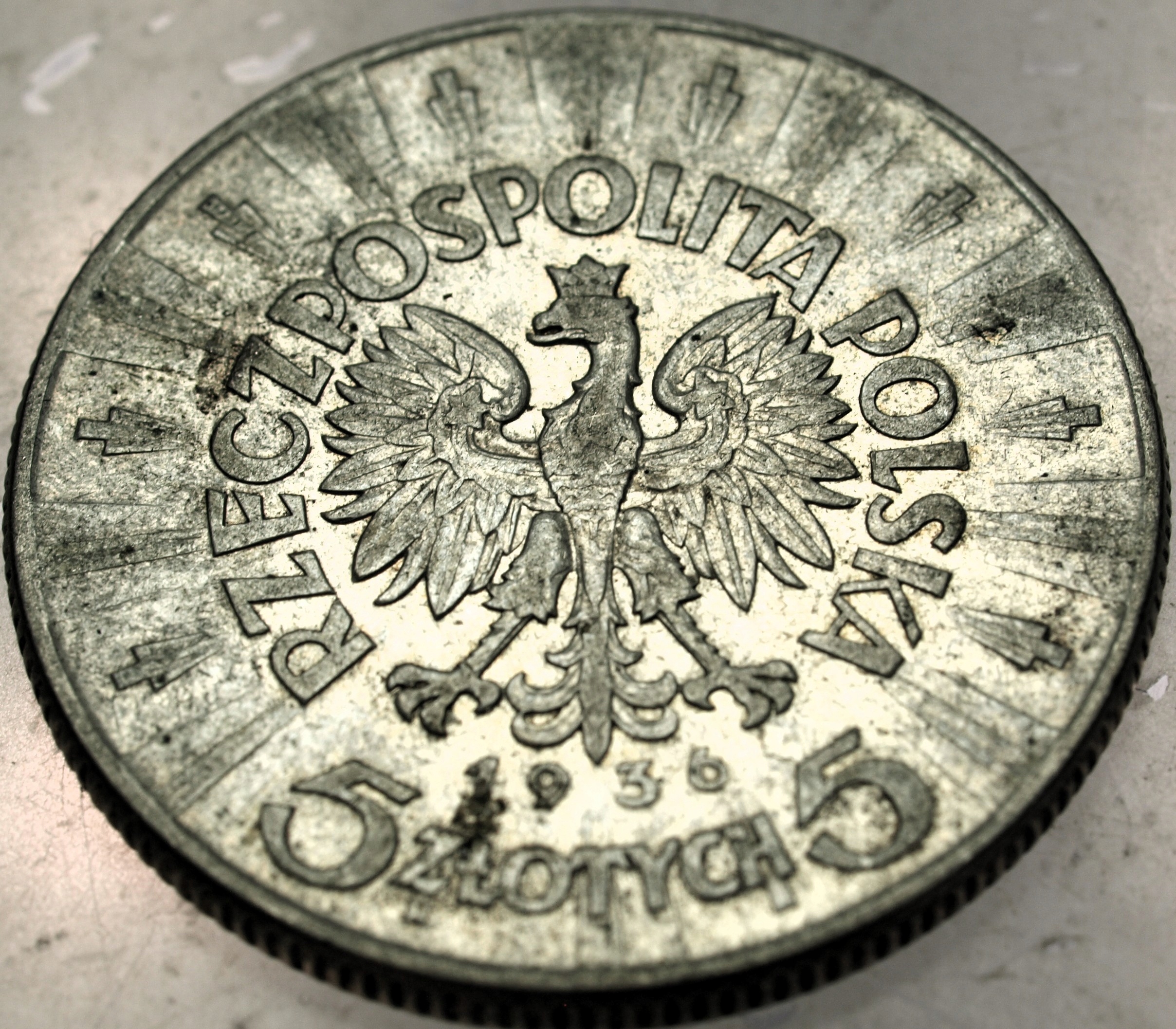 Zdjęcie 18429125186_1