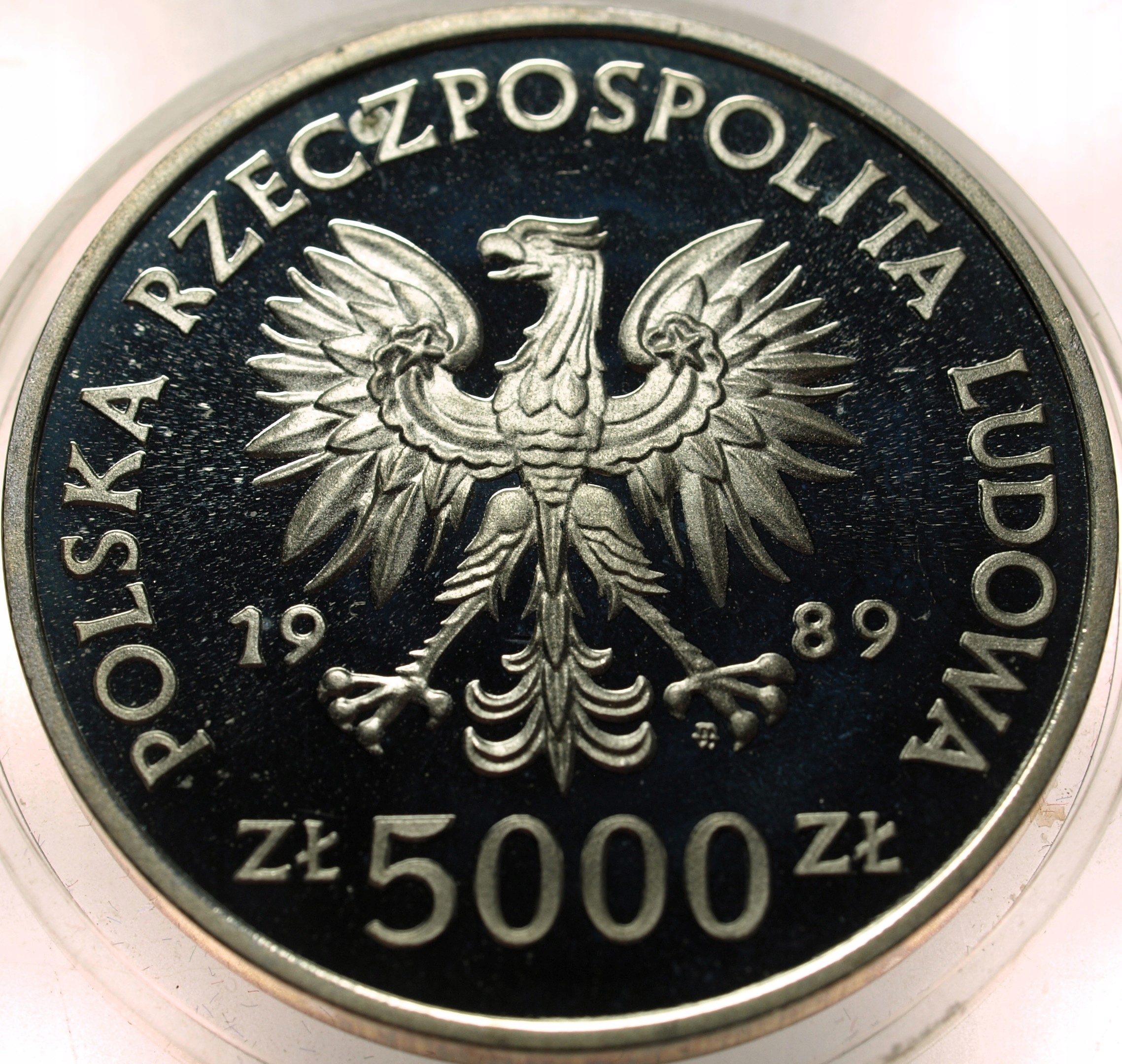 Zdjęcie 18429180918_1