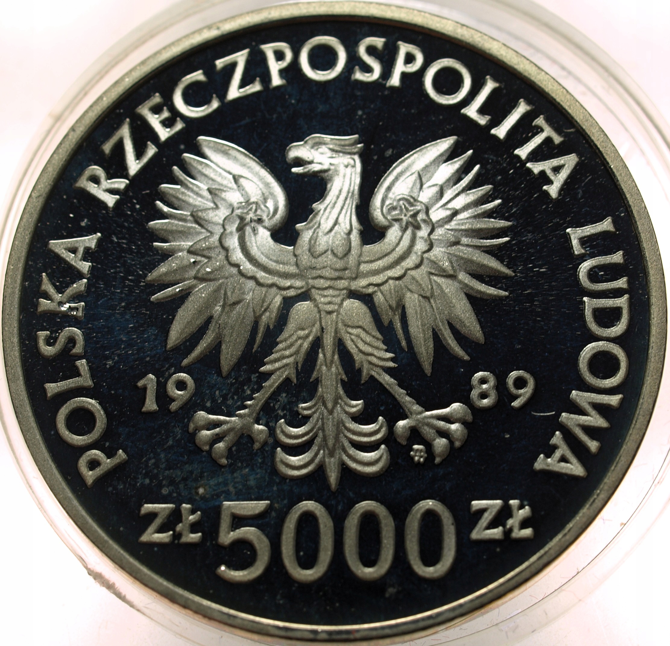 Zdjęcie 18429183187_1