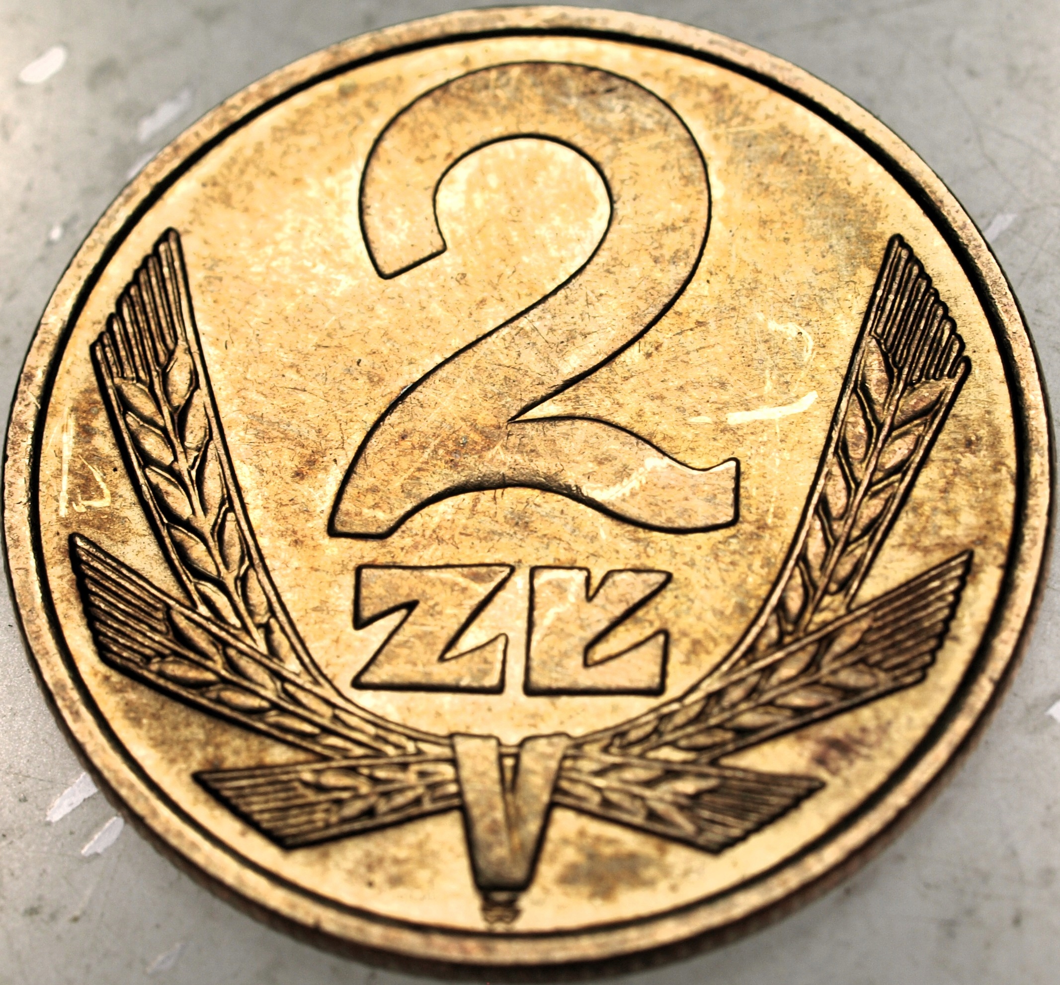 Zdjęcie 18439604363_0