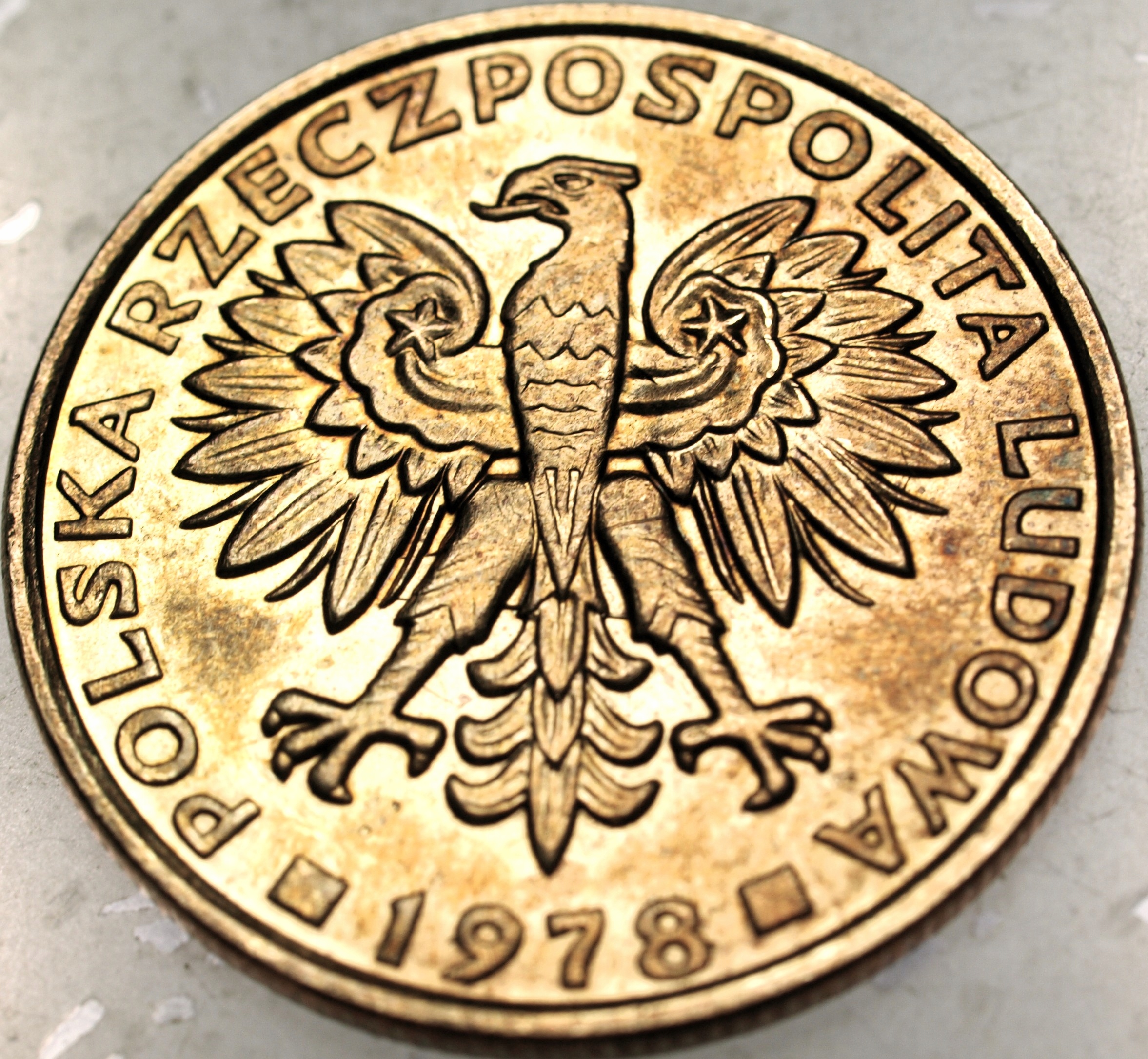 Zdjęcie 18439604363_1