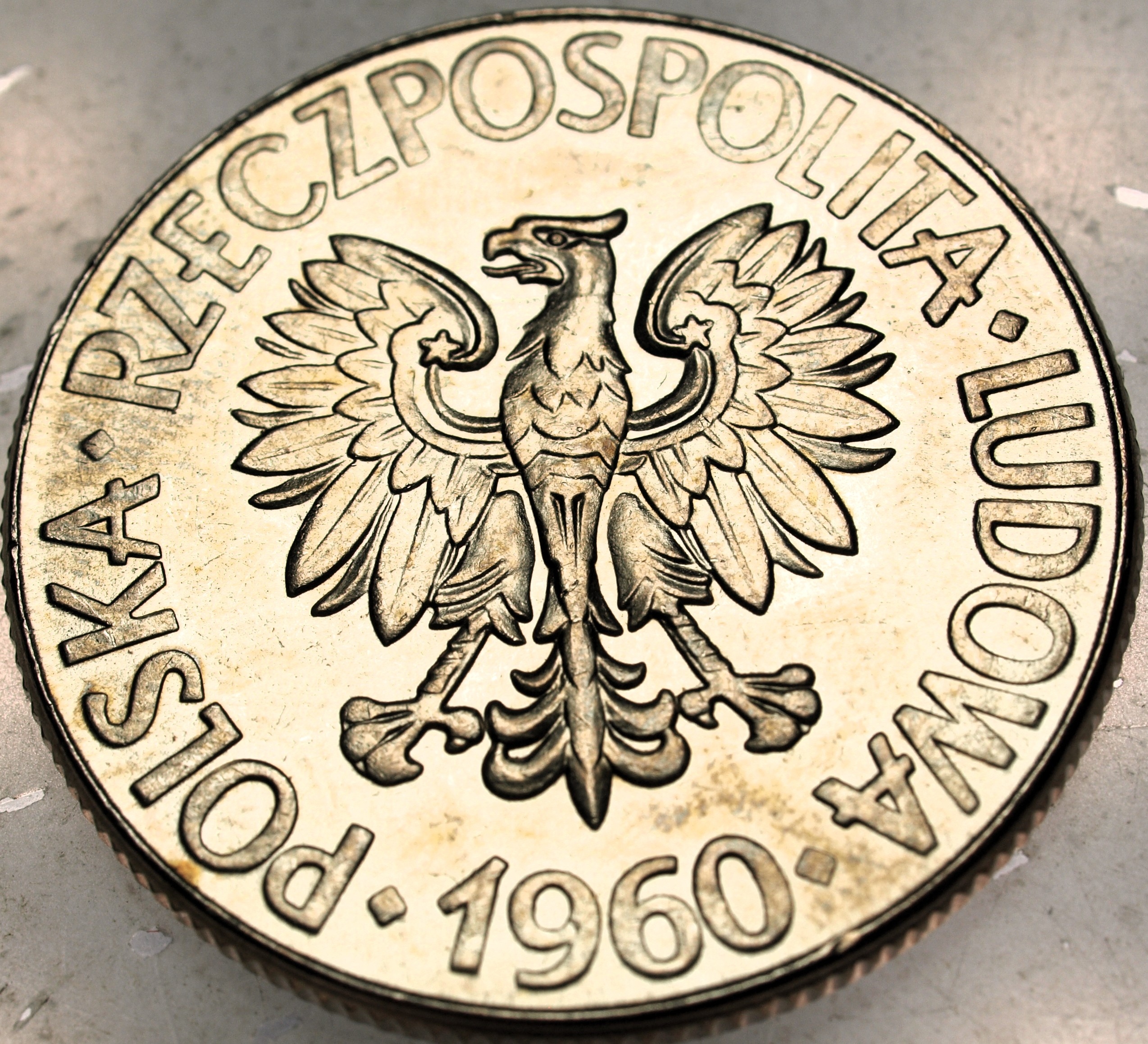 Zdjęcie 18439631168_1