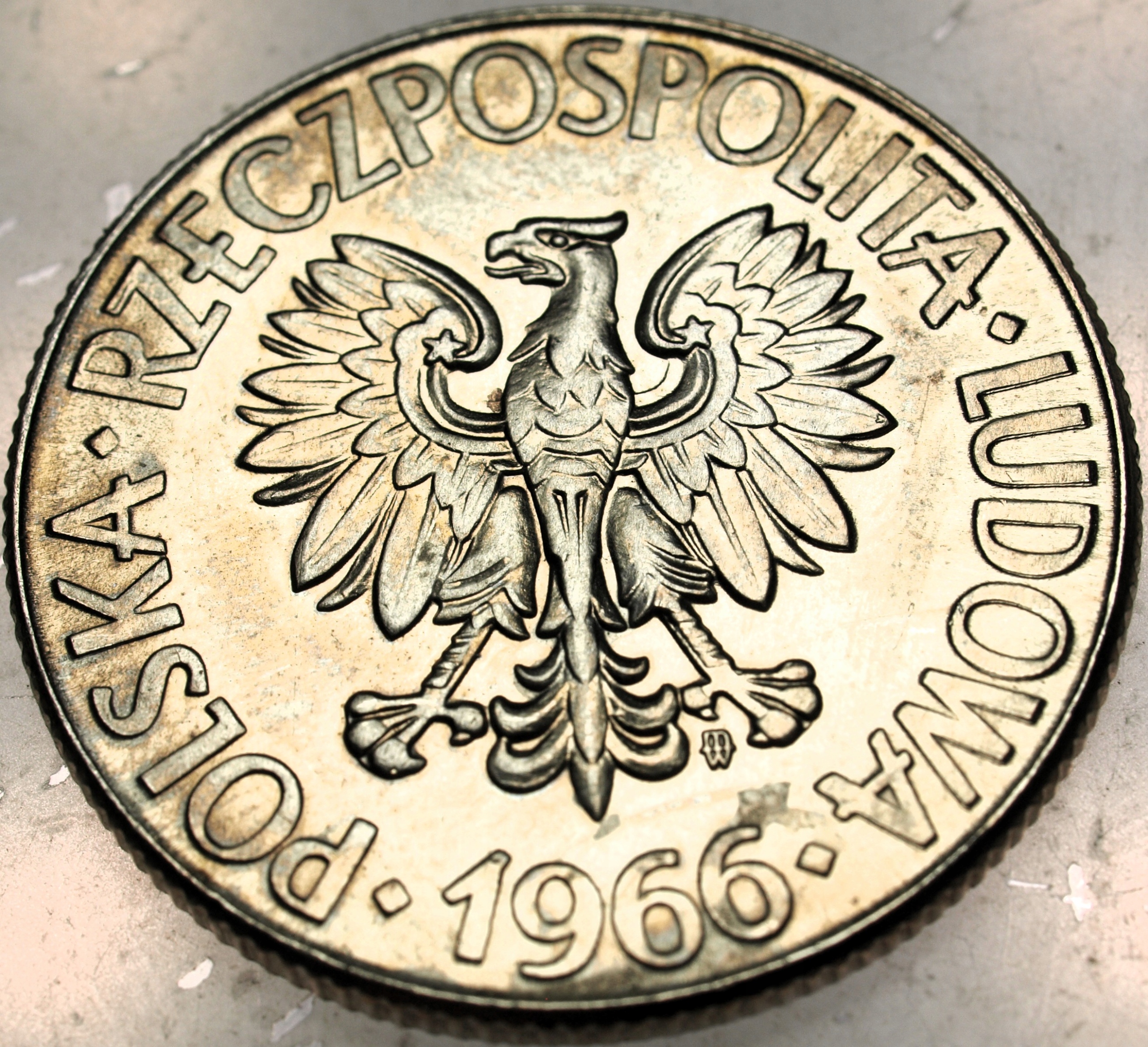 Zdjęcie 18439647282_1