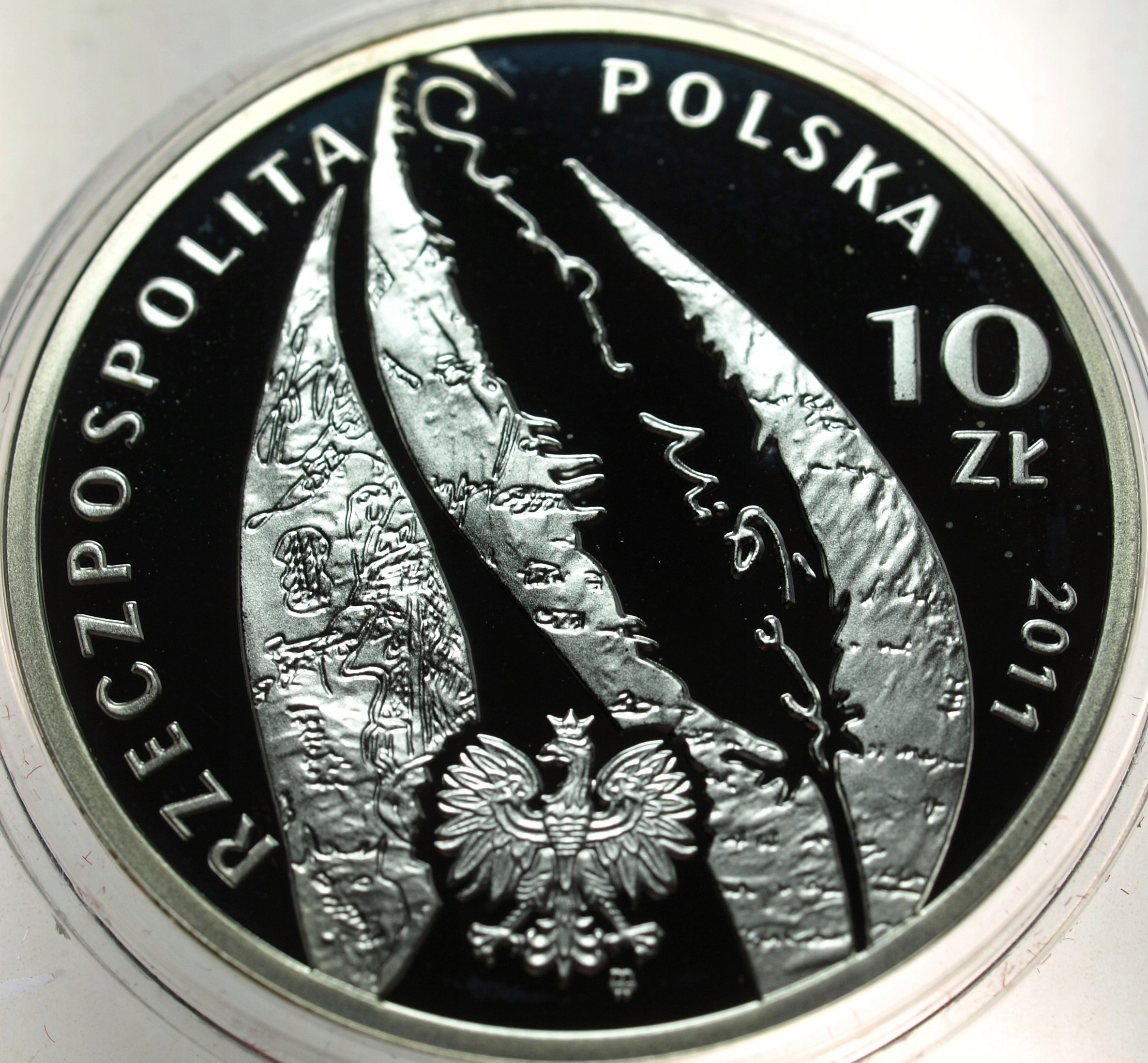 Zdjęcie 18442244905_1