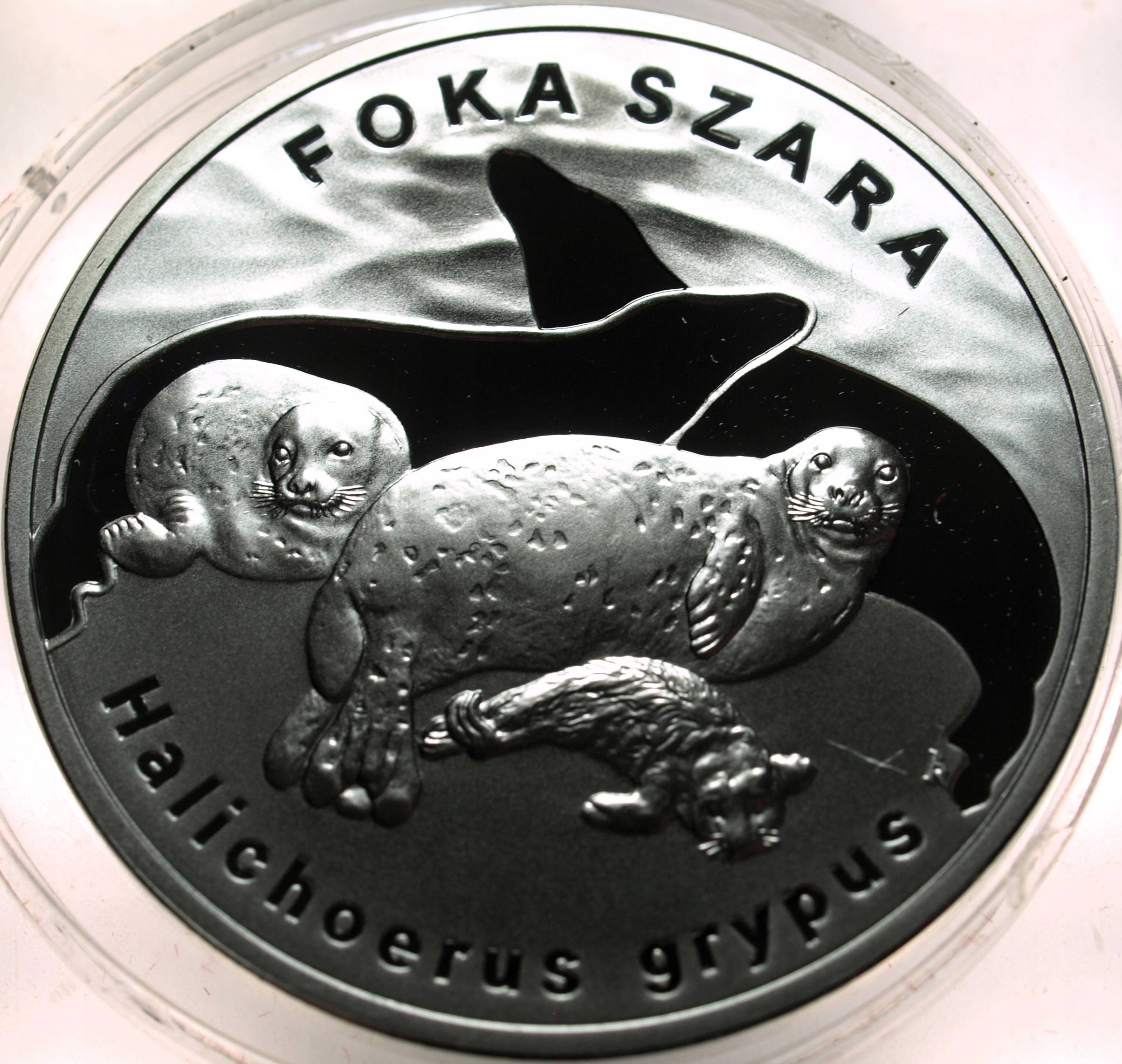 Zdjęcie 18442306131_0