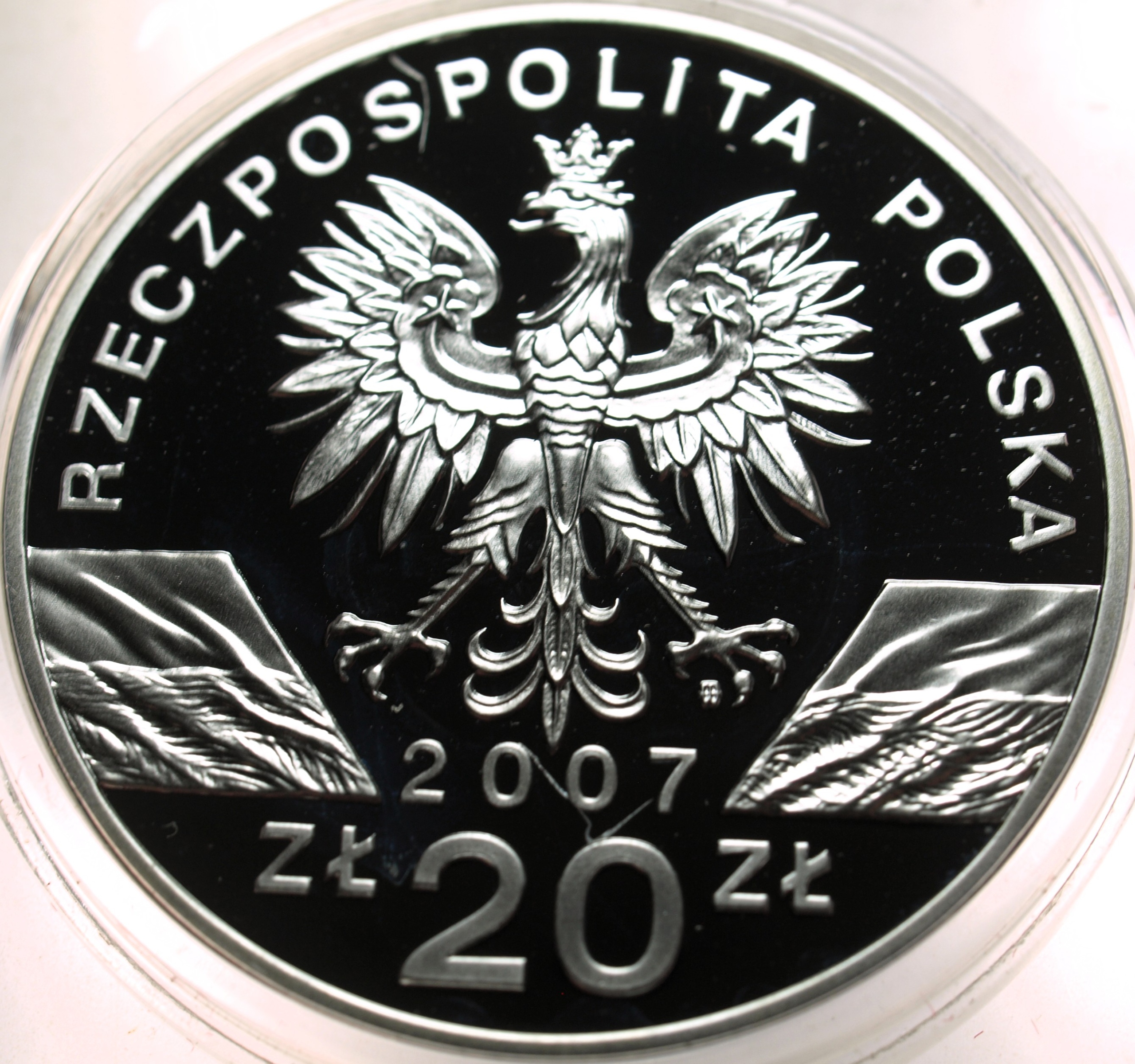 Zdjęcie 18442306131_1