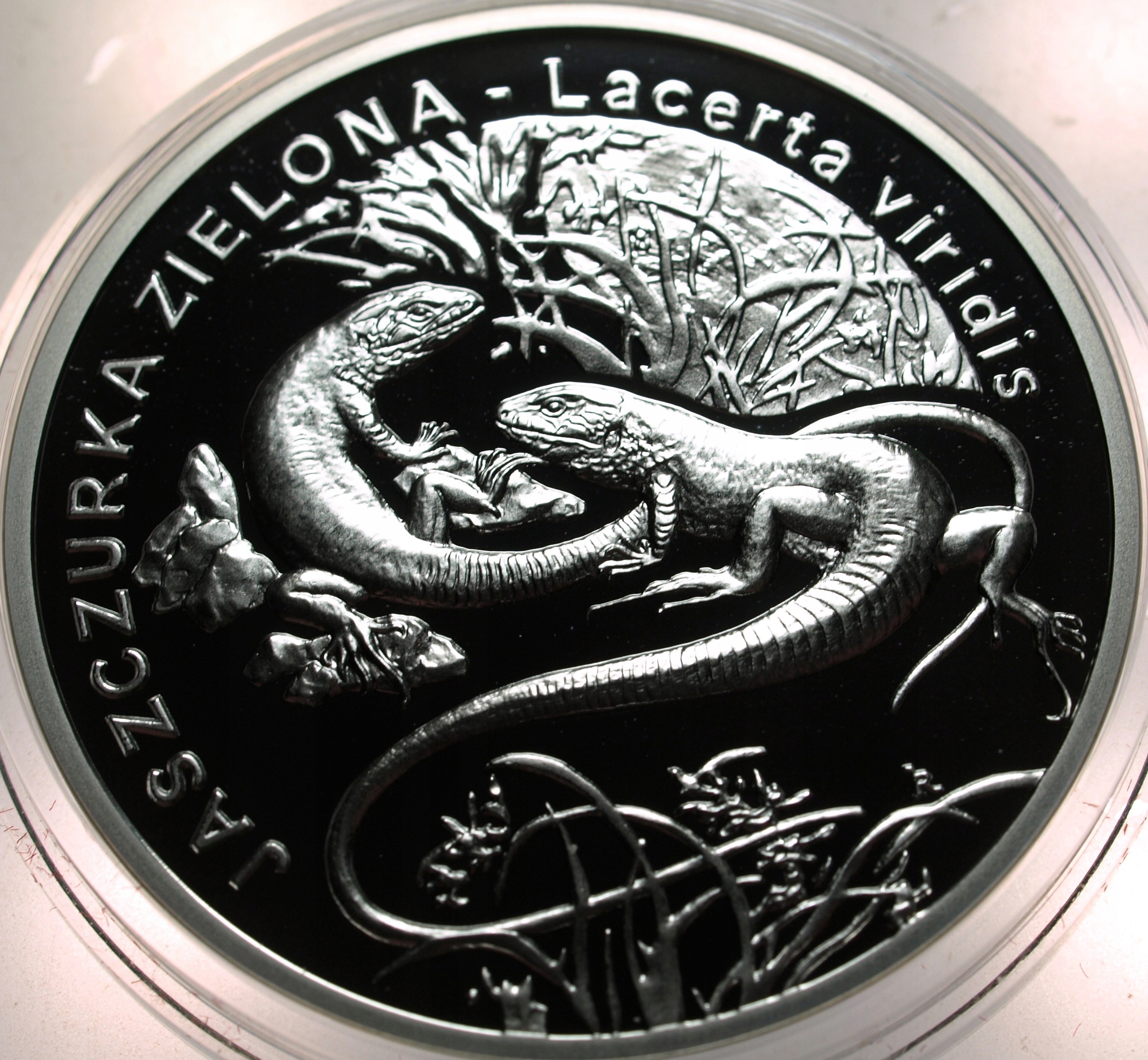 Zdjęcie 18442313874_0