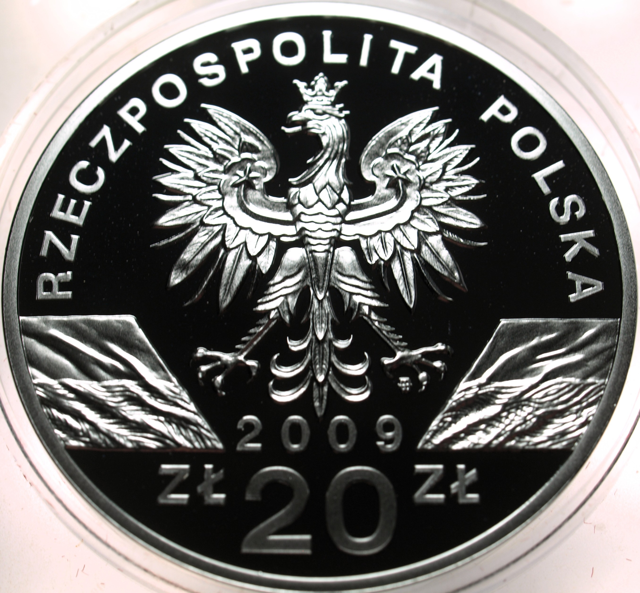 Zdjęcie 18442313874_1