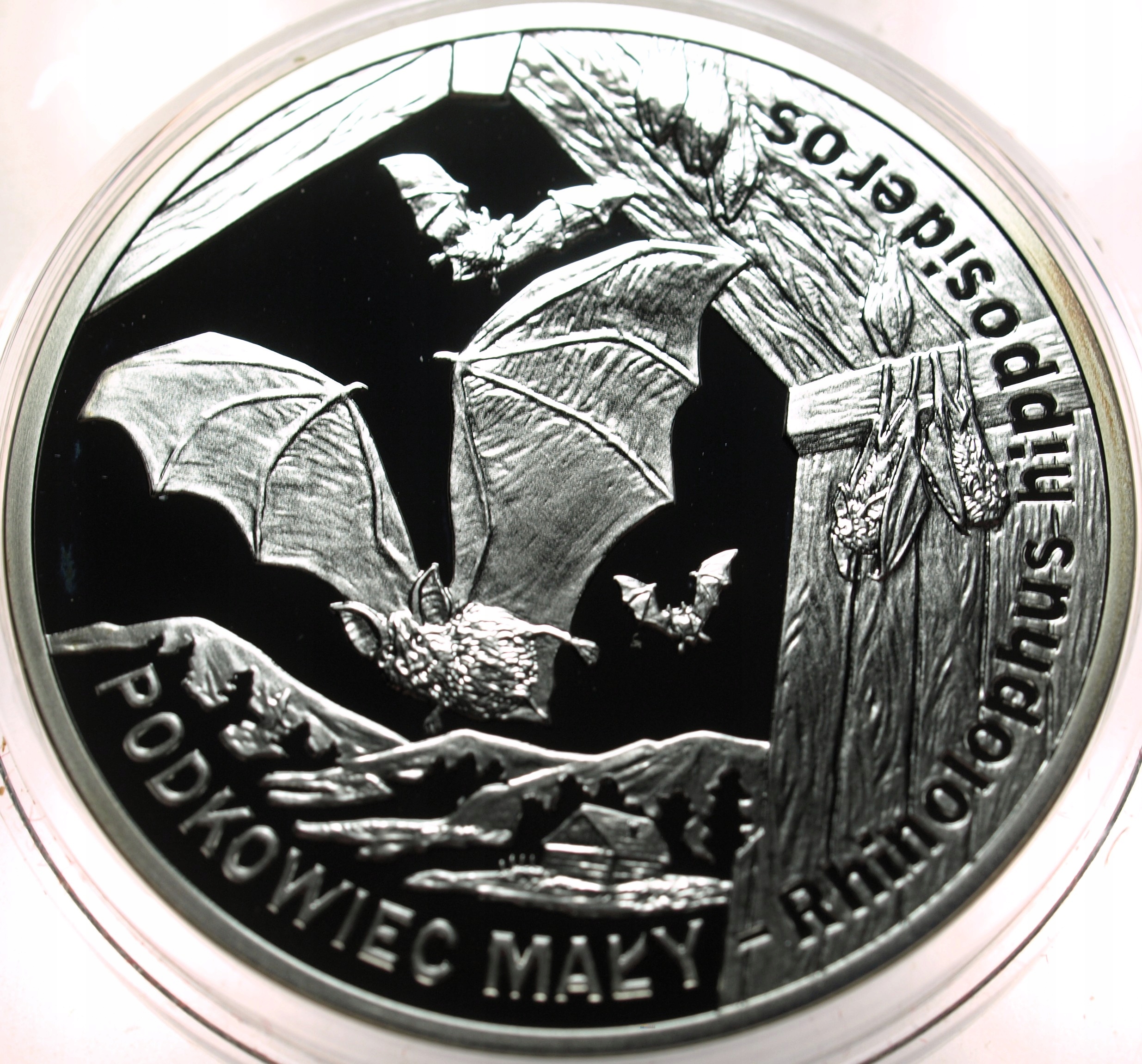 Zdjęcie 18442324508_0