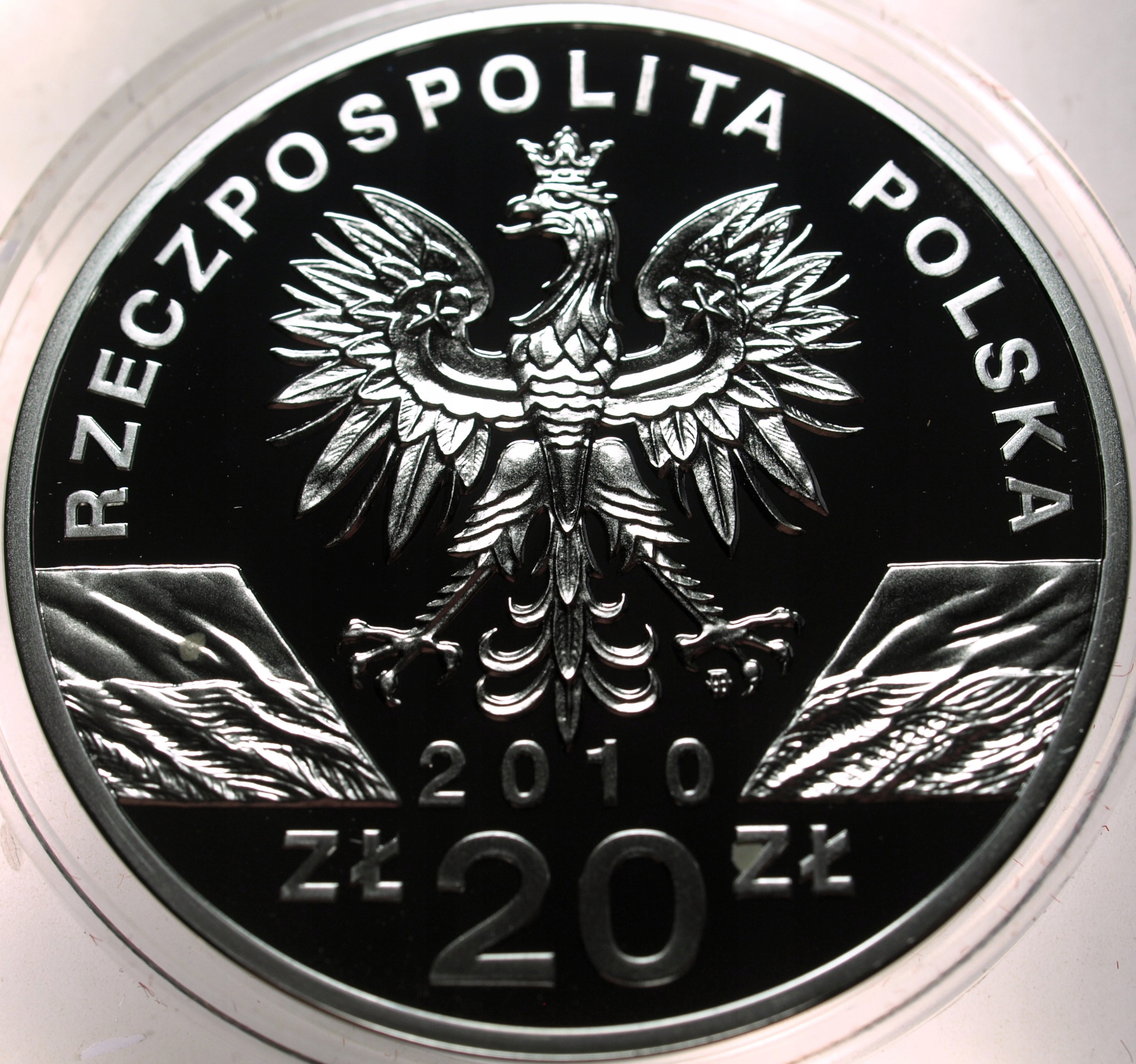 Zdjęcie 18442324508_1