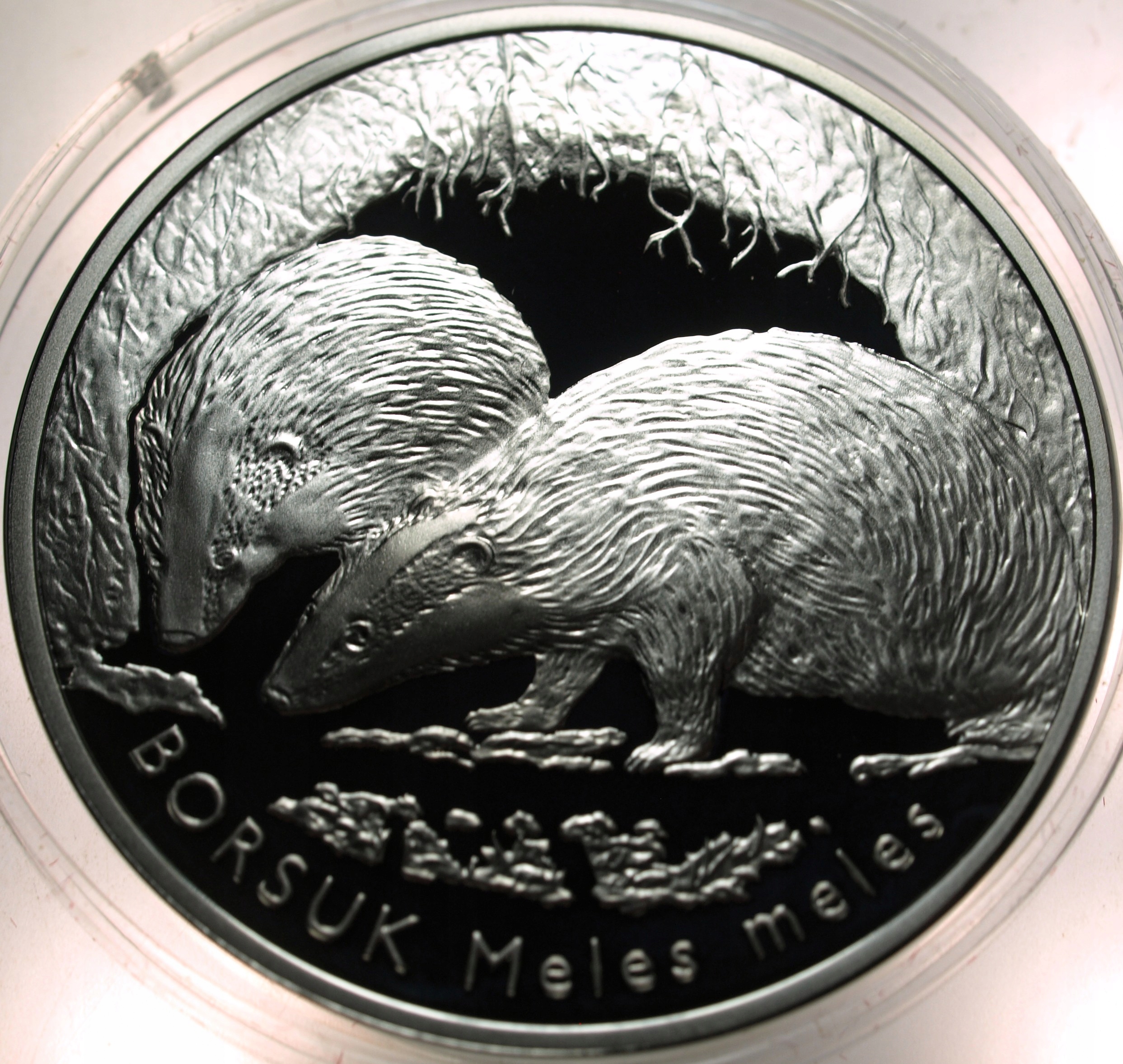 Zdjęcie 18442329012_0