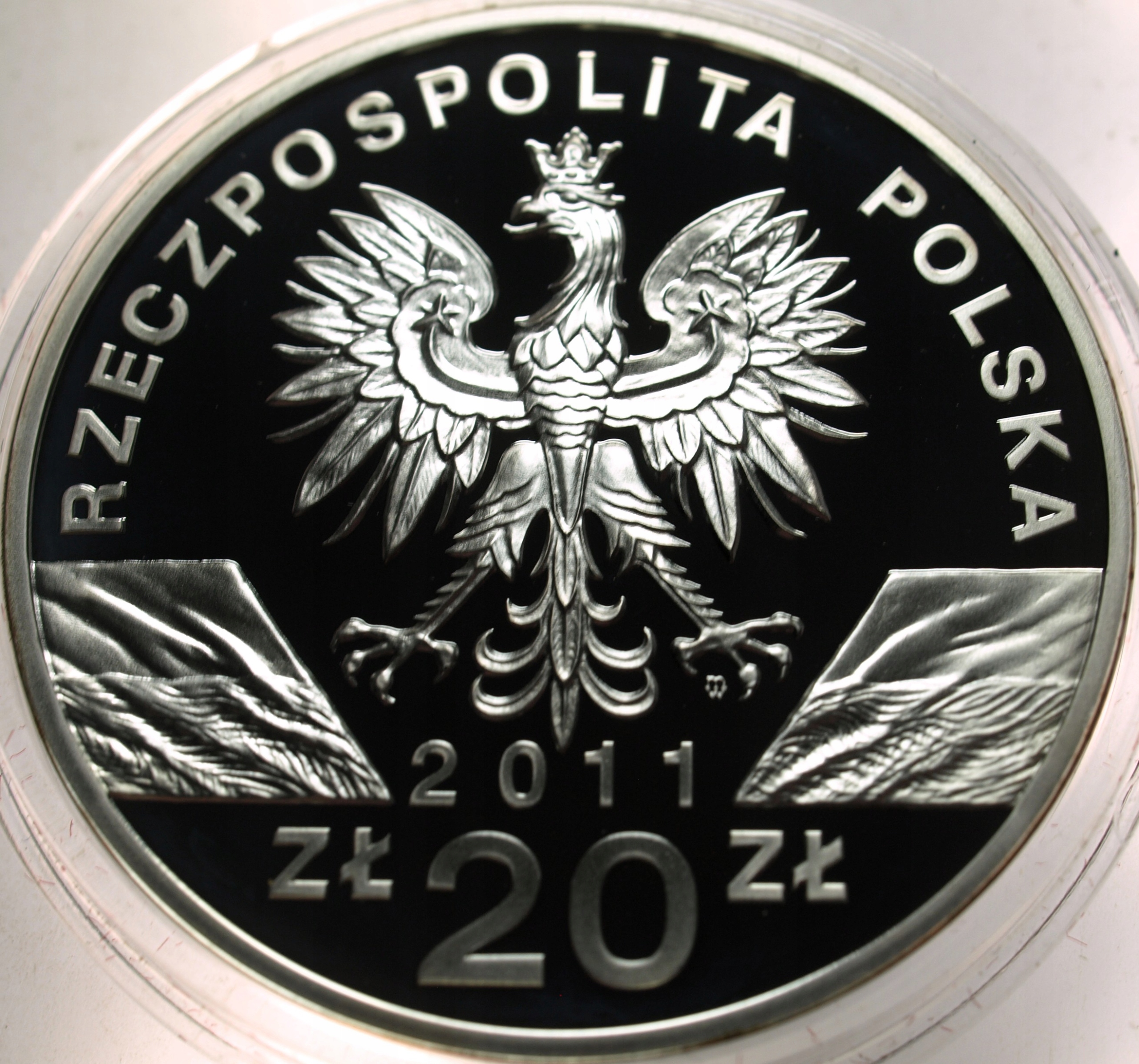 Zdjęcie 18442329012_1