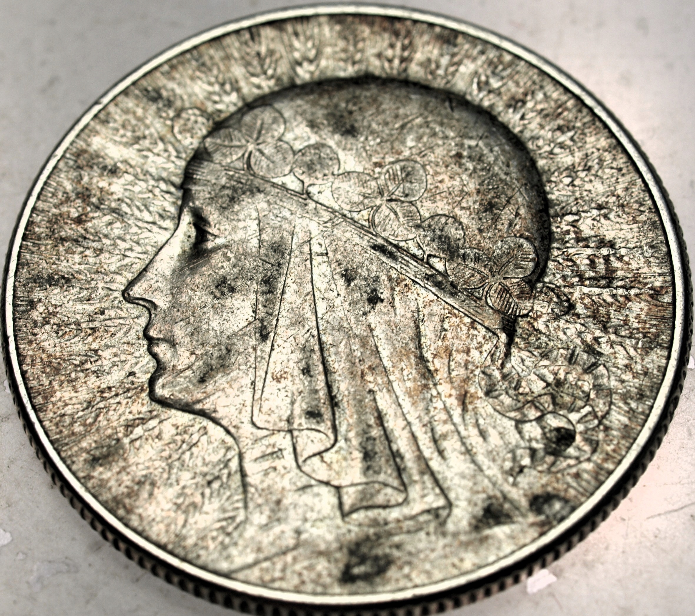 Zdjęcie 18444998658_0