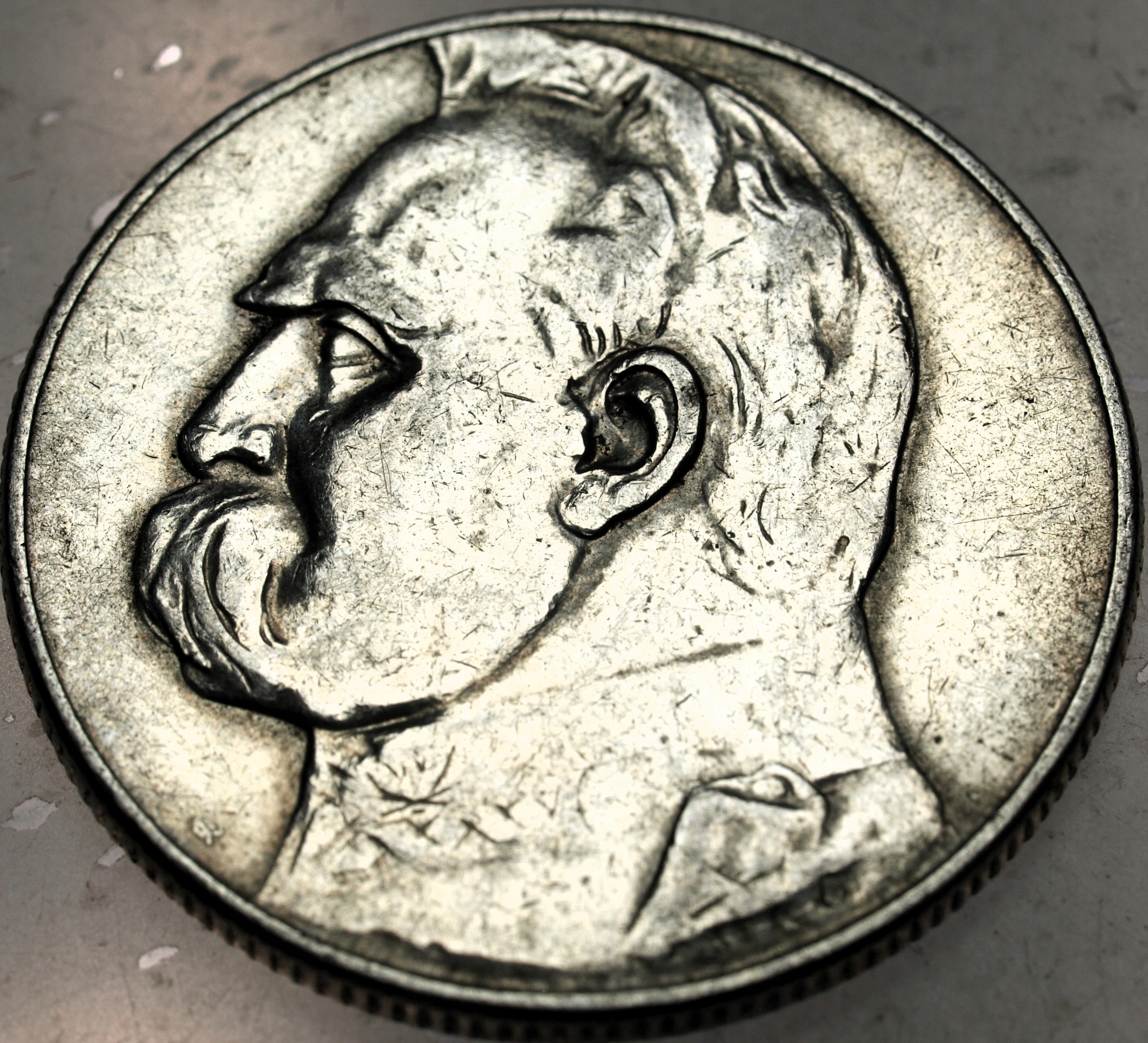 Zdjęcie 18445002321_0