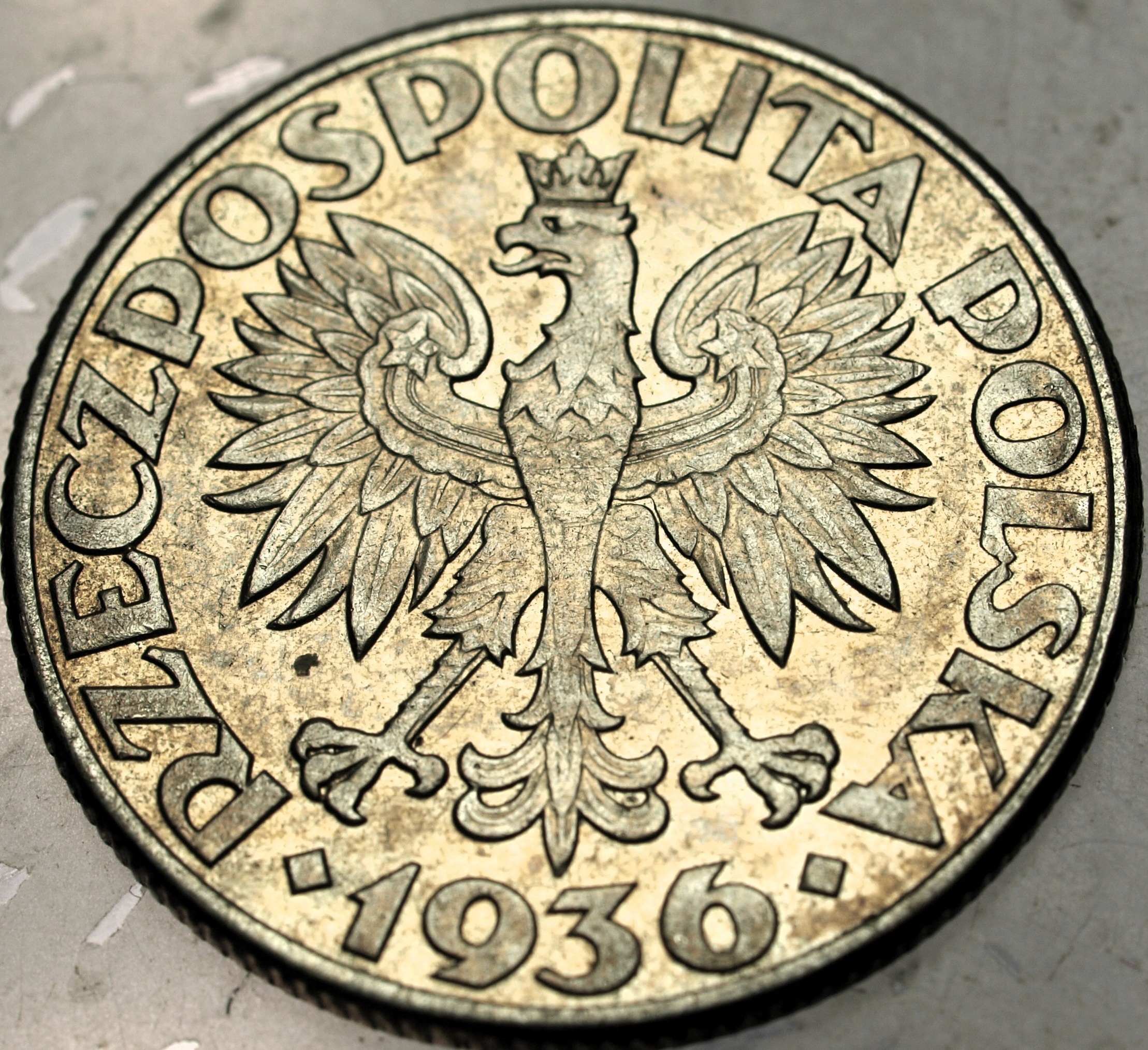 Zdjęcie 18445411052_1