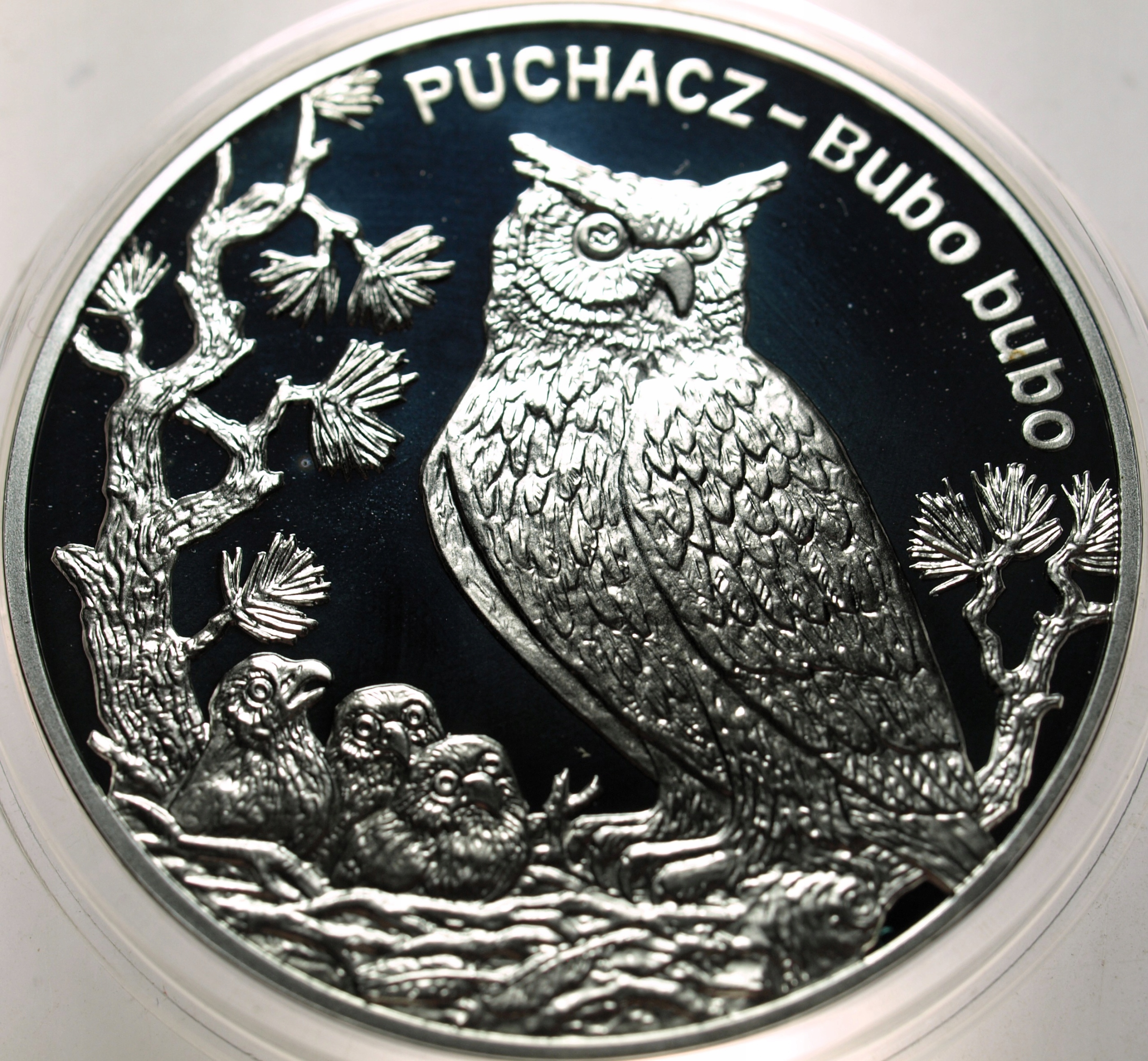 Zdjęcie 18445453772_0