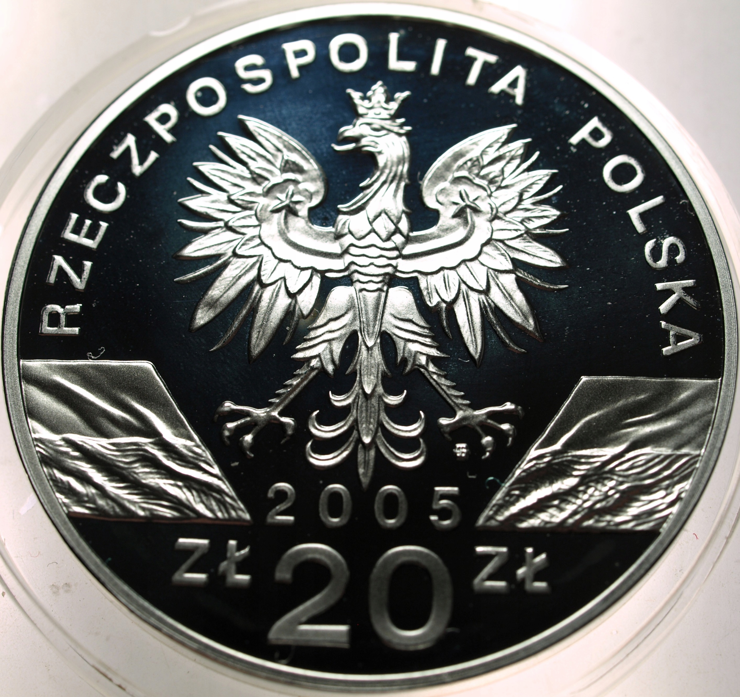 Zdjęcie 18445453772_1