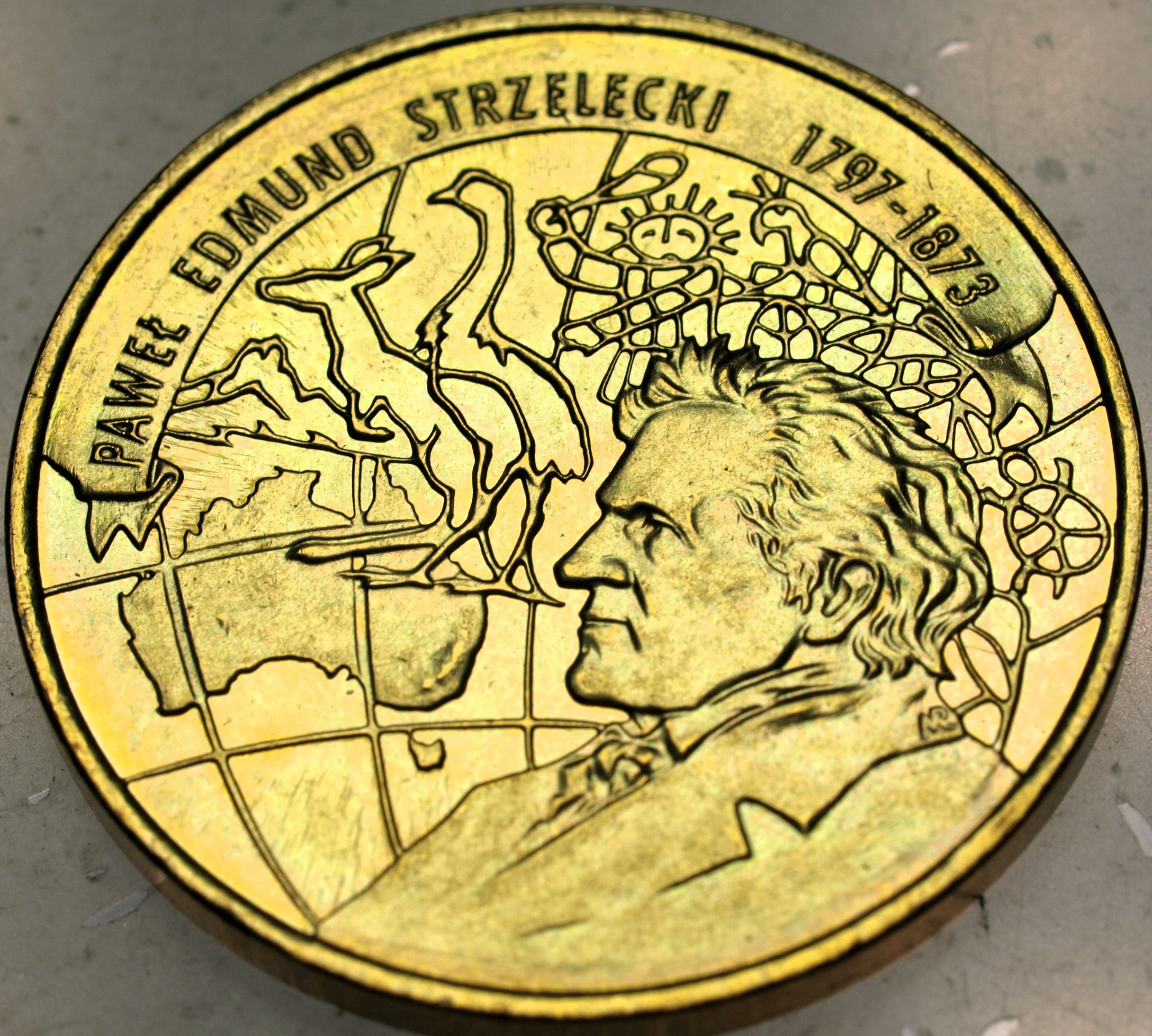 Zdjęcie 18460568790_0