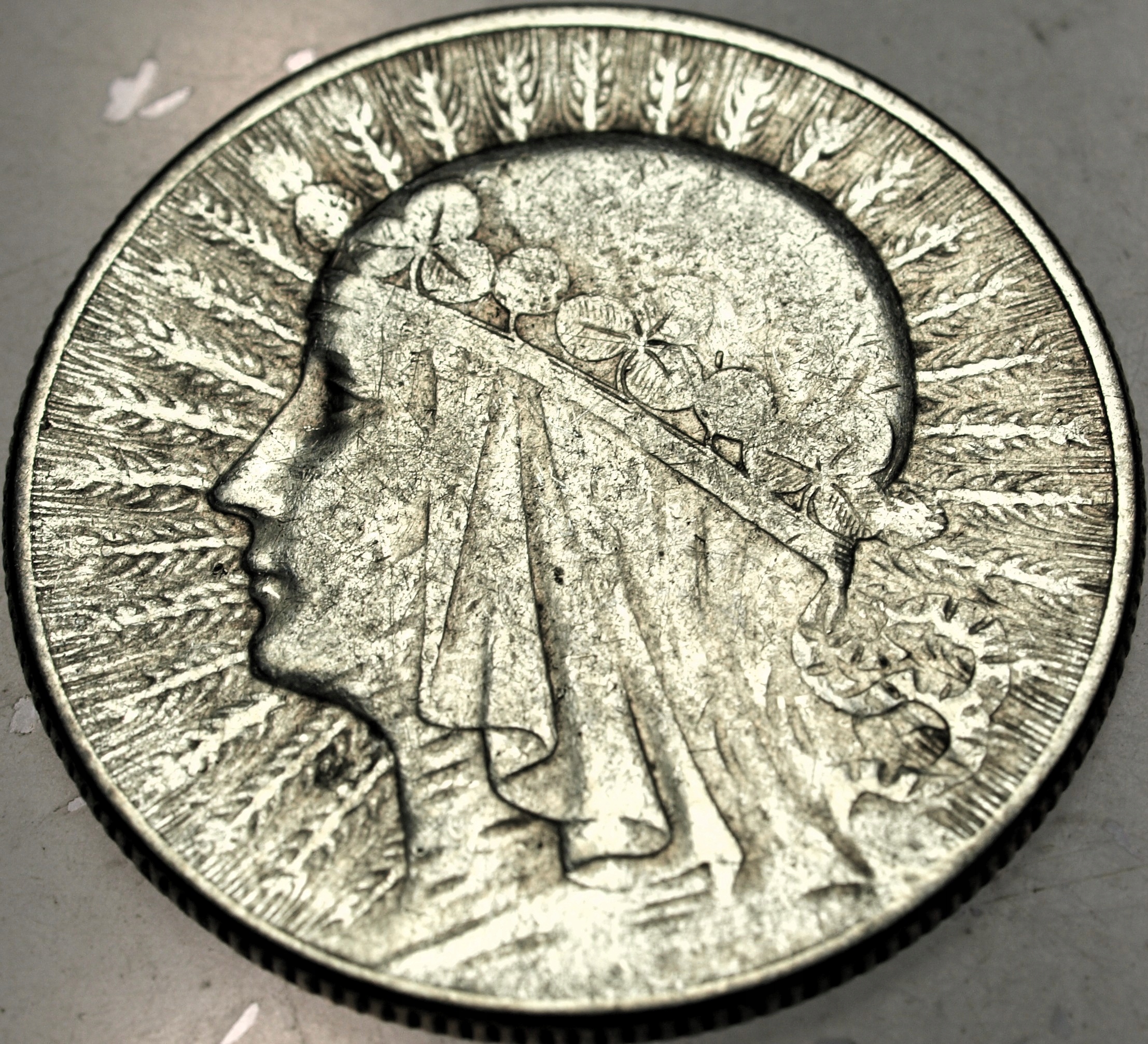 Zdjęcie 18460574337_0