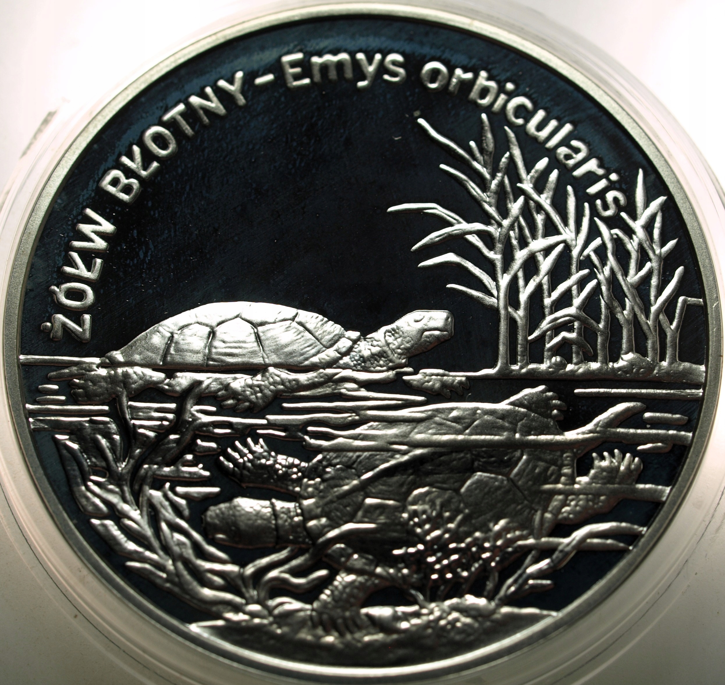 Zdjęcie 18463202754_0