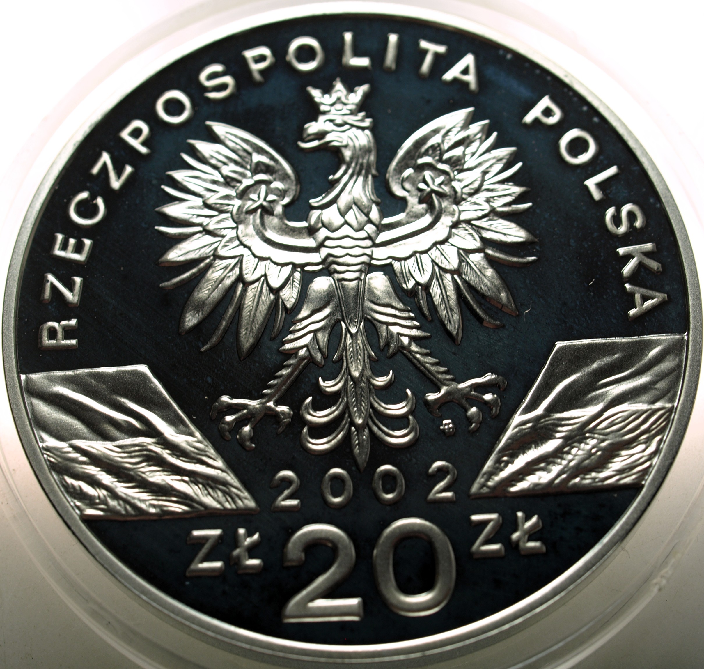 Zdjęcie 18463202754_1