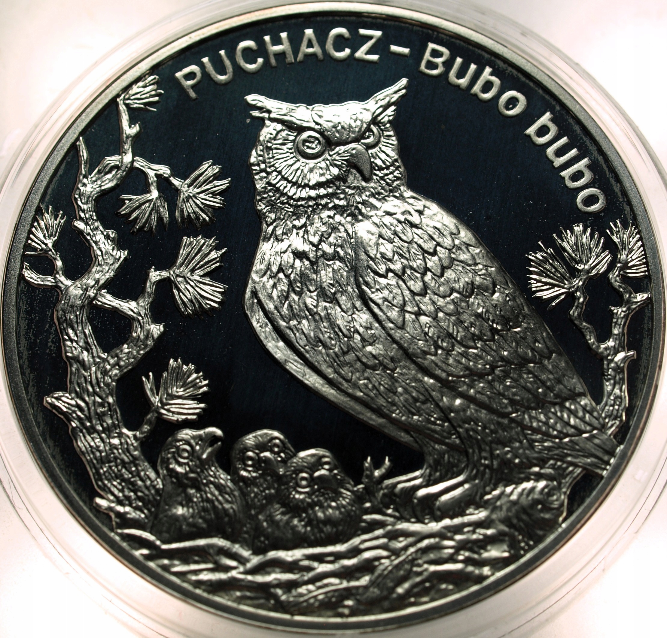 Zdjęcie 18463205365_0