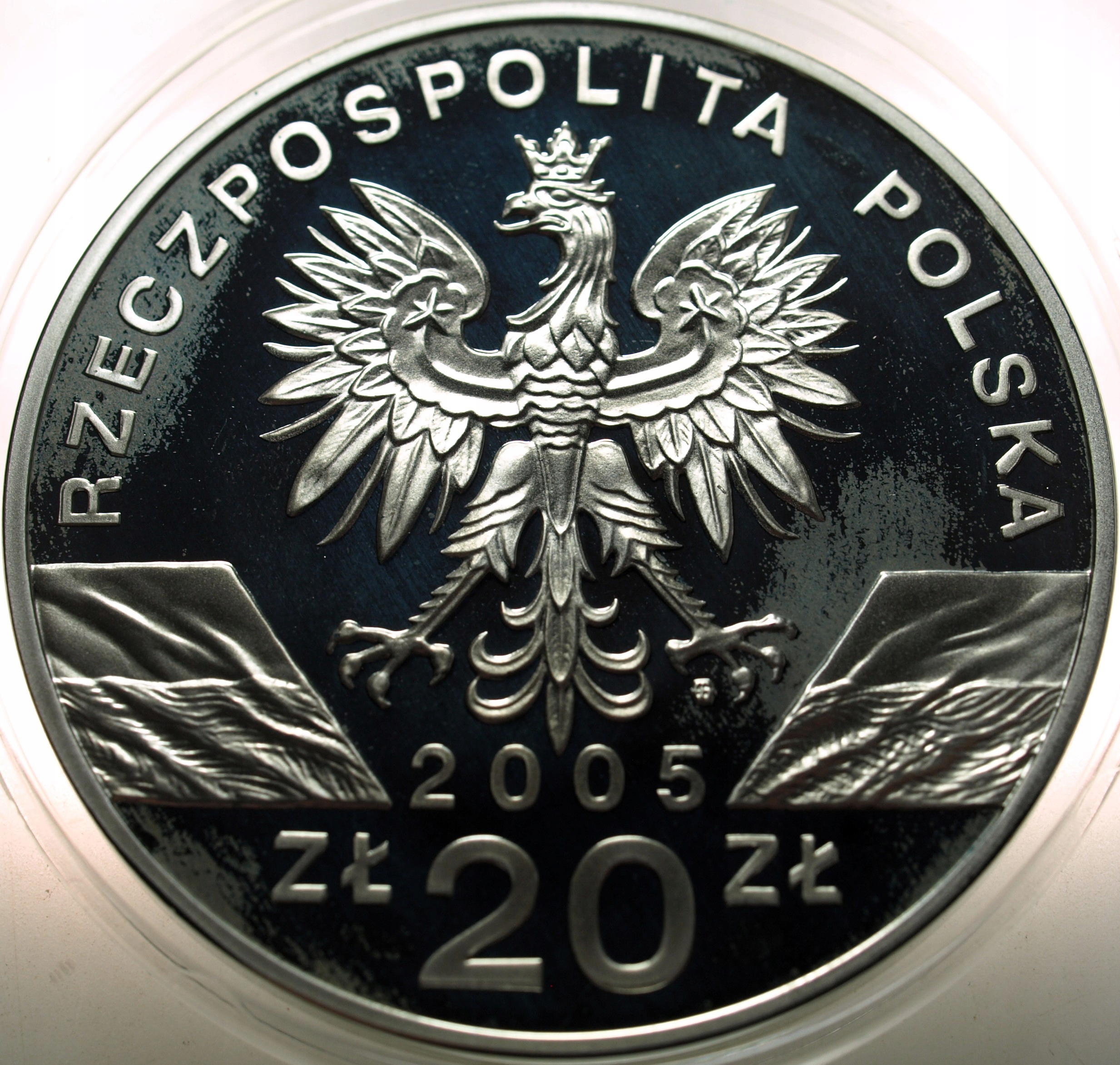 Zdjęcie 18463205365_1