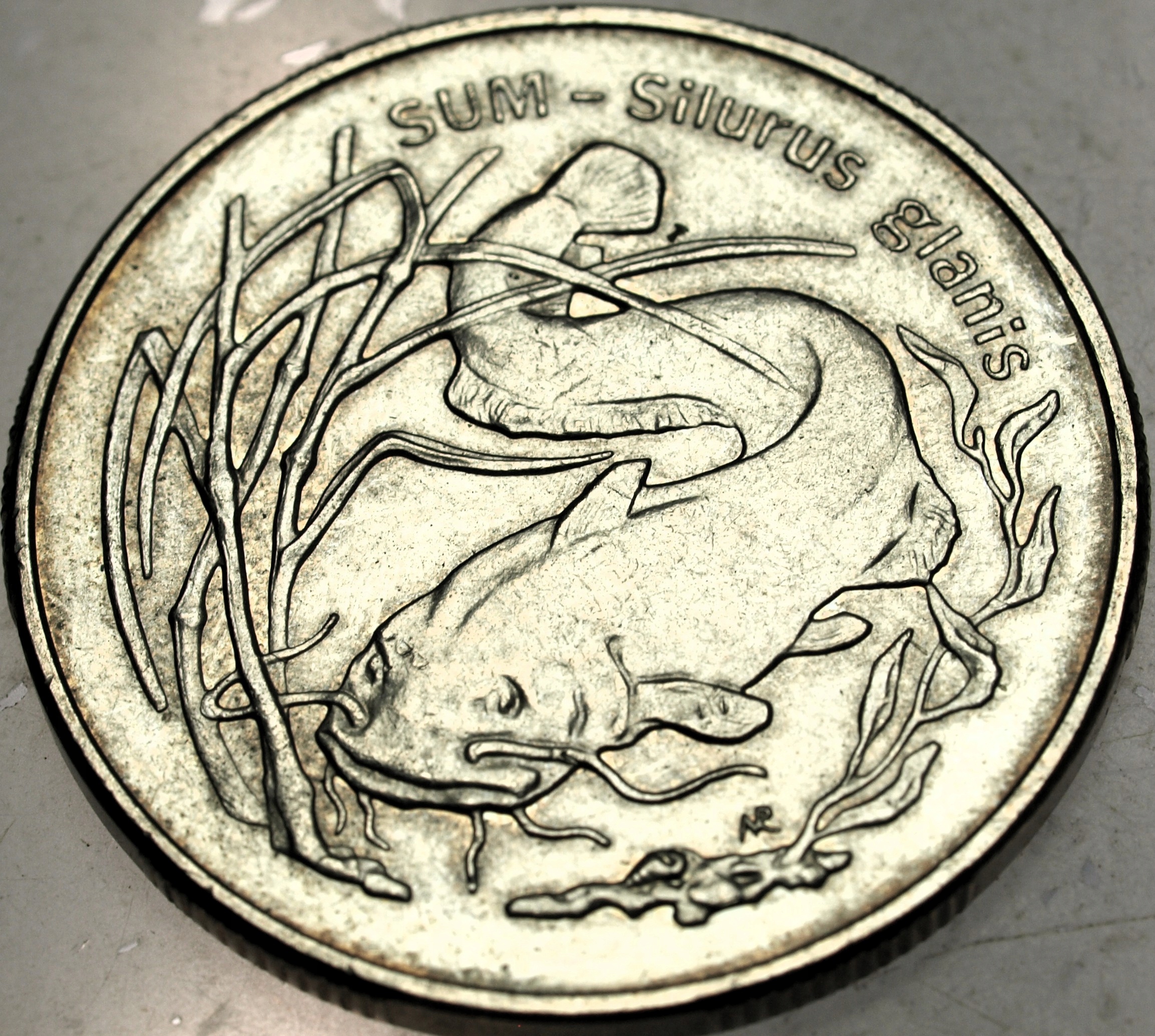 Zdjęcie 18463419575_0