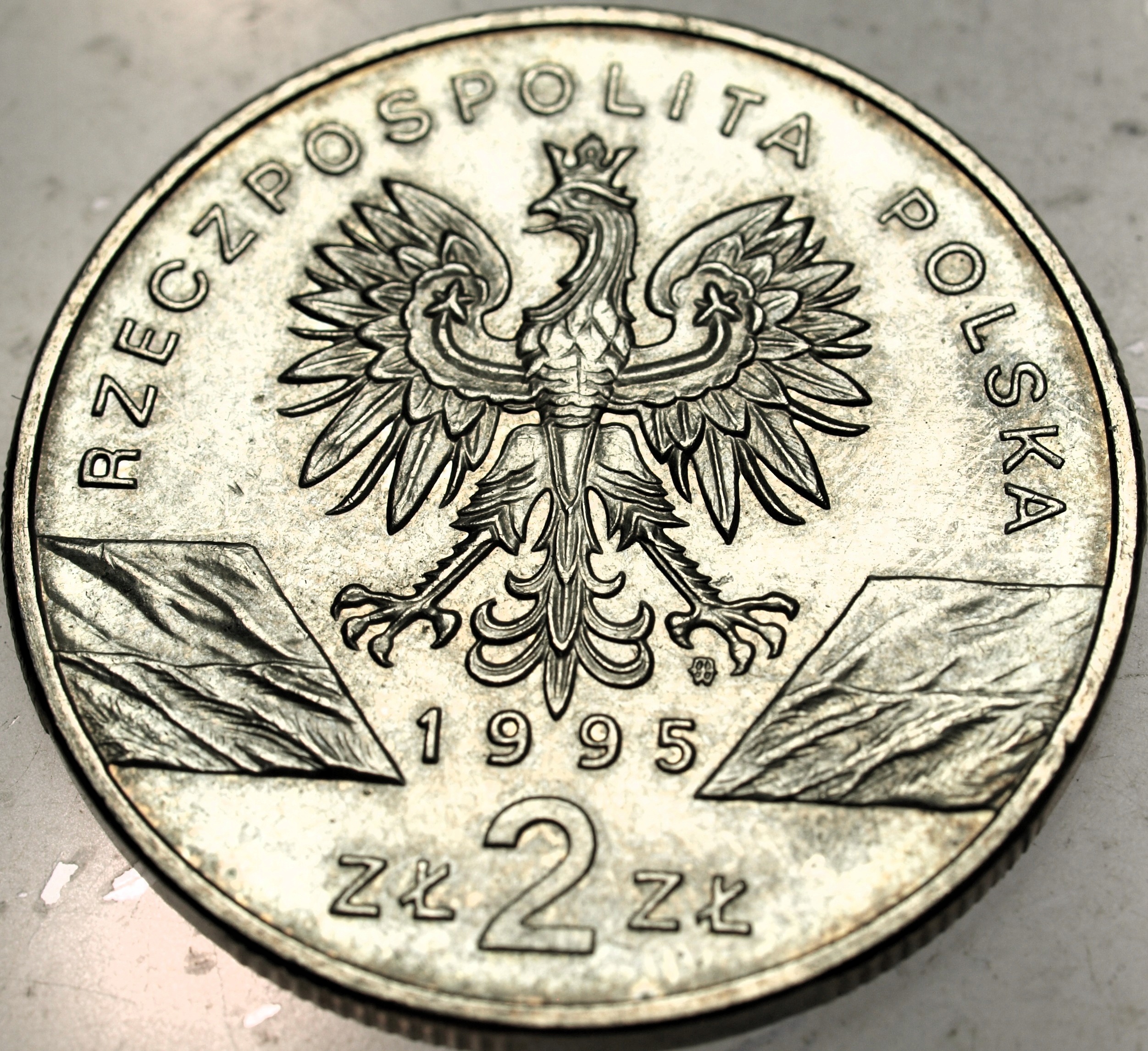 Zdjęcie 18463419575_1