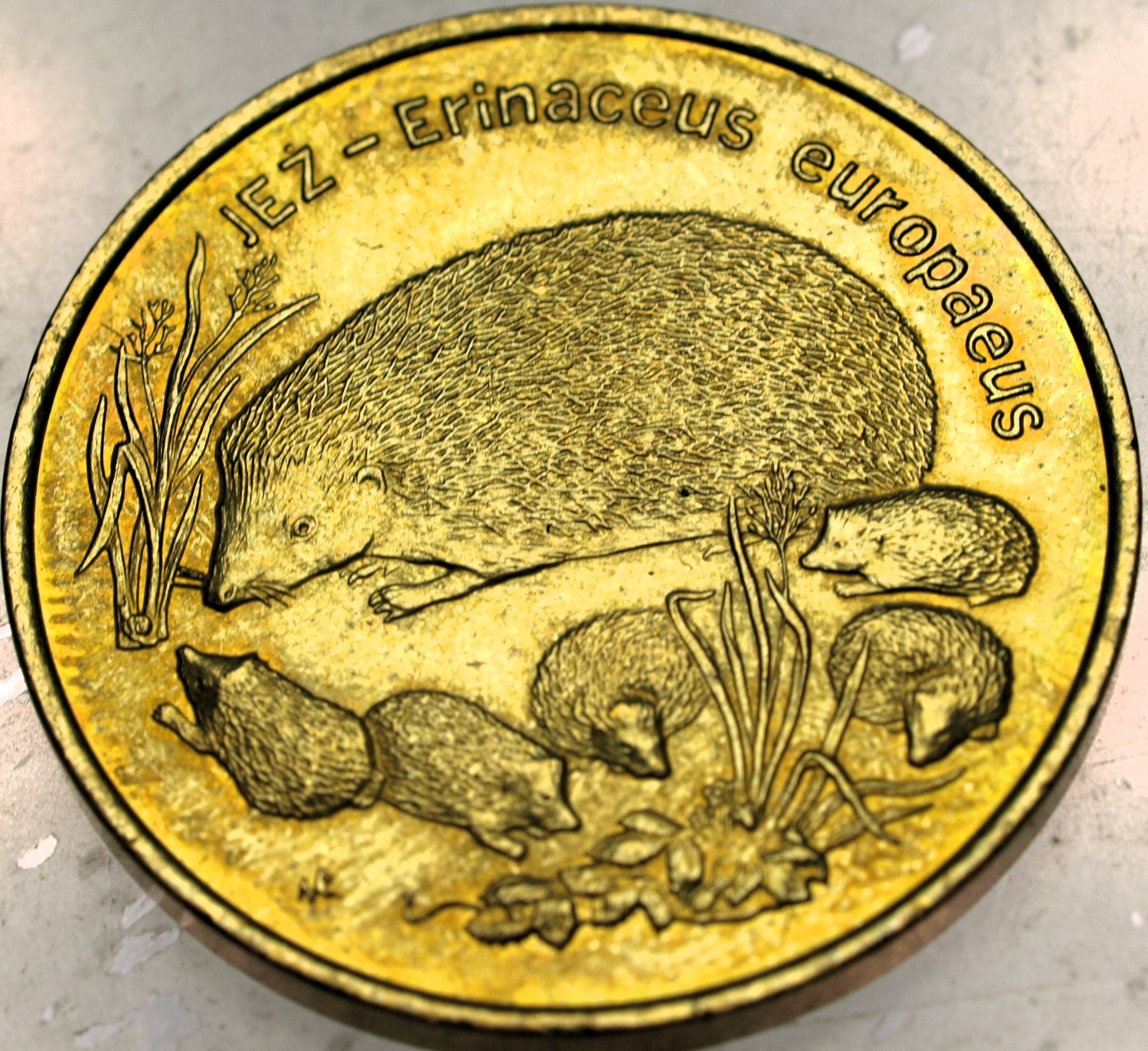 Zdjęcie 18463423464_0