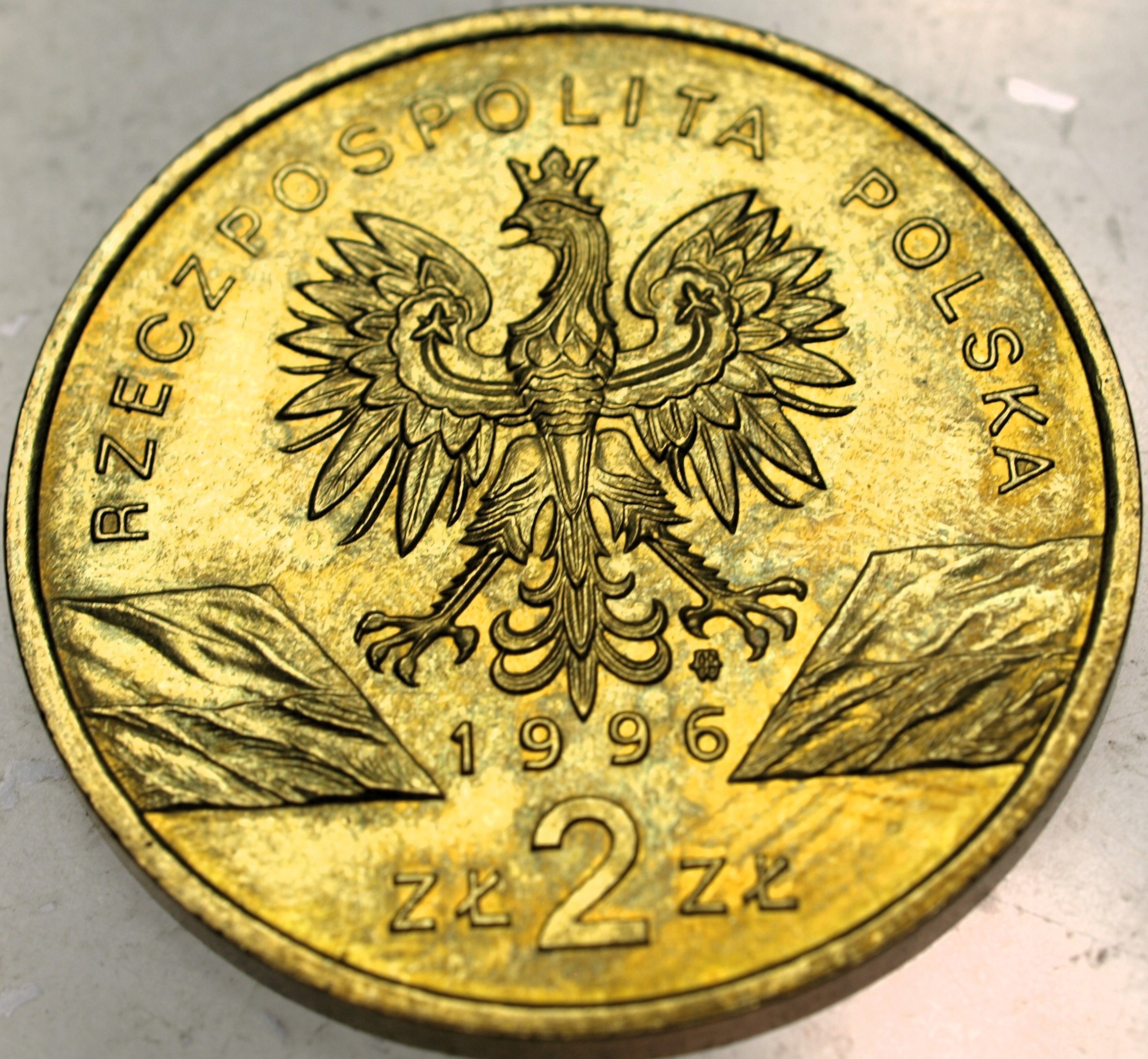 Zdjęcie 18463423464_1