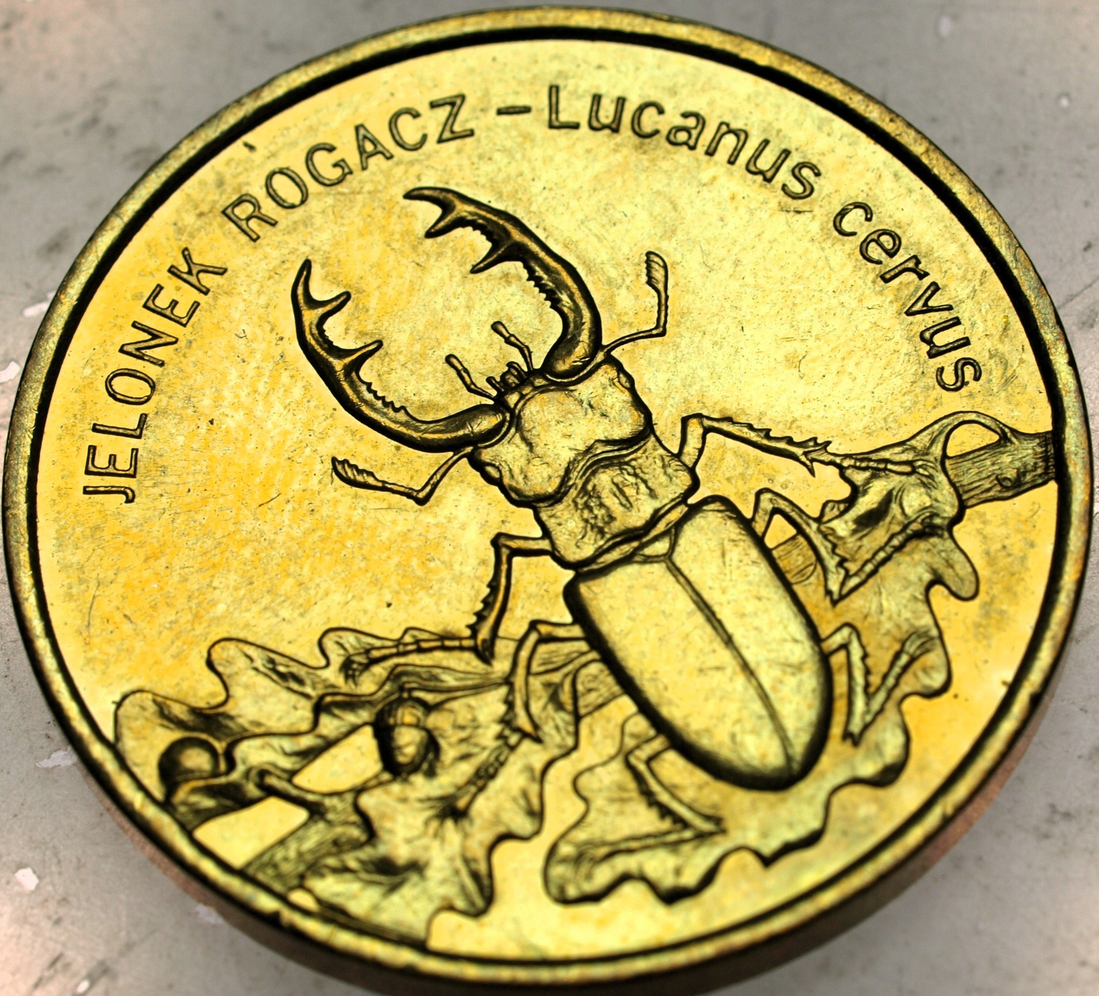 Zdjęcie 18463428610_0