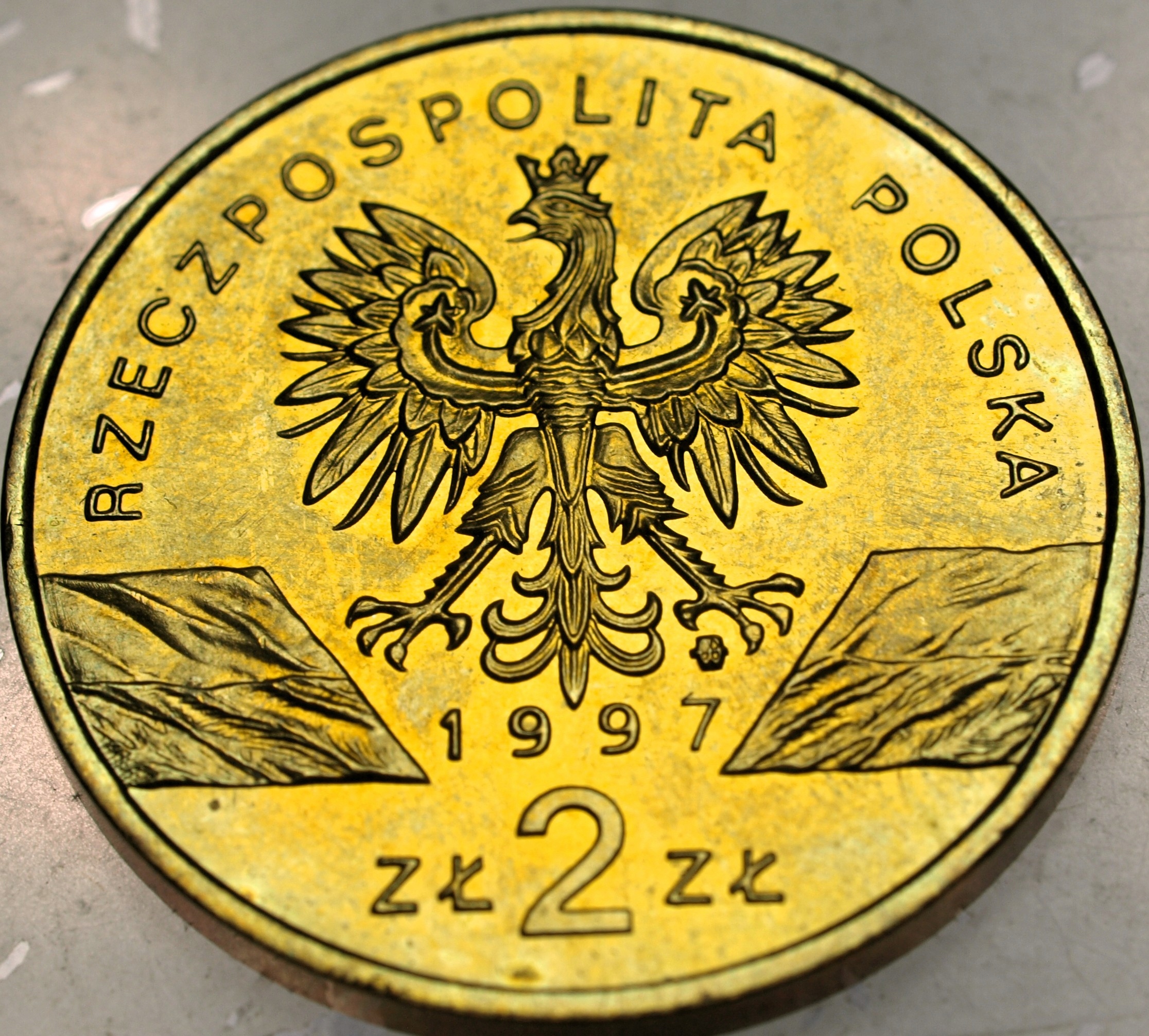 Zdjęcie 18463428610_1