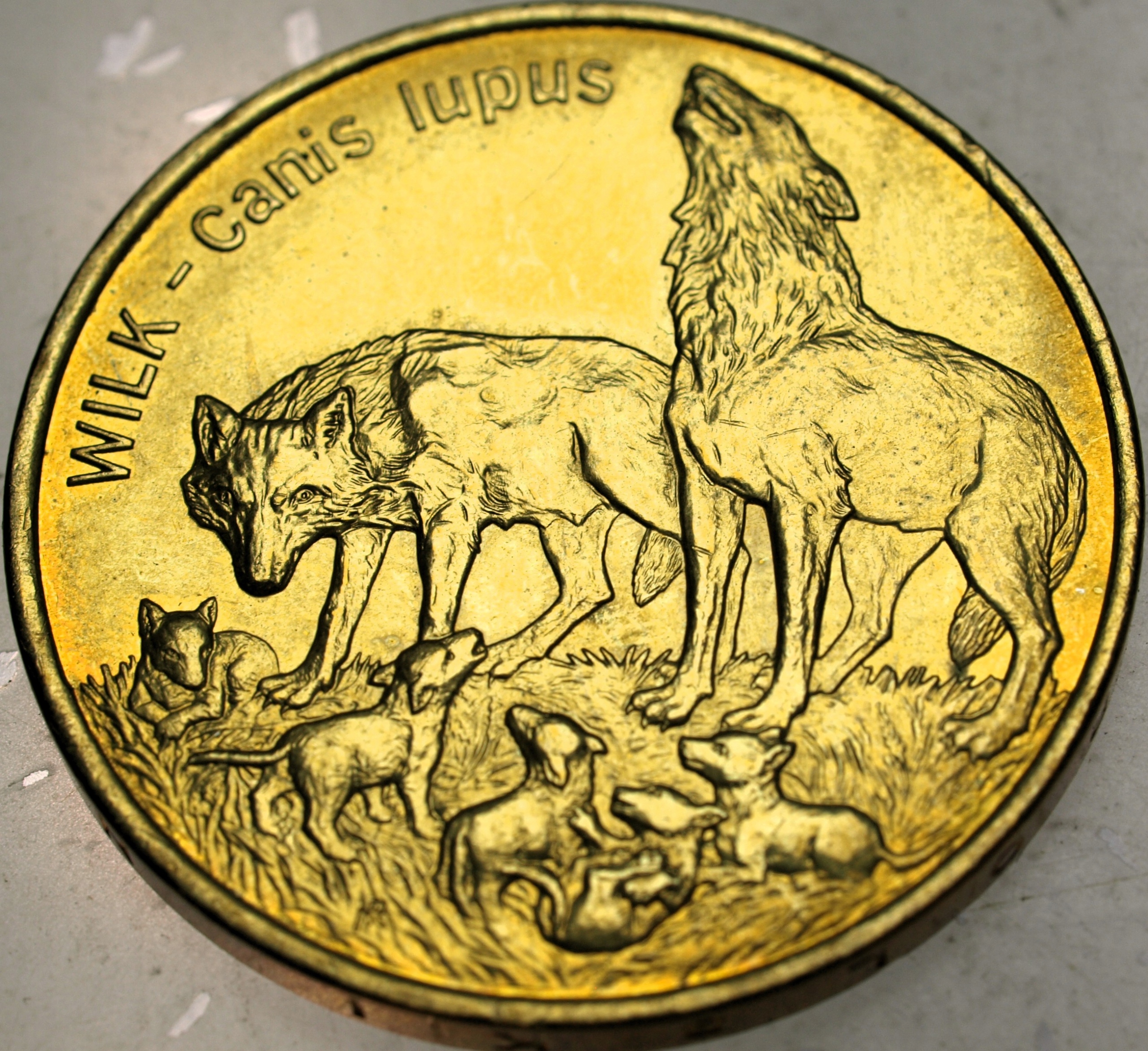 Zdjęcie 18463442903_0