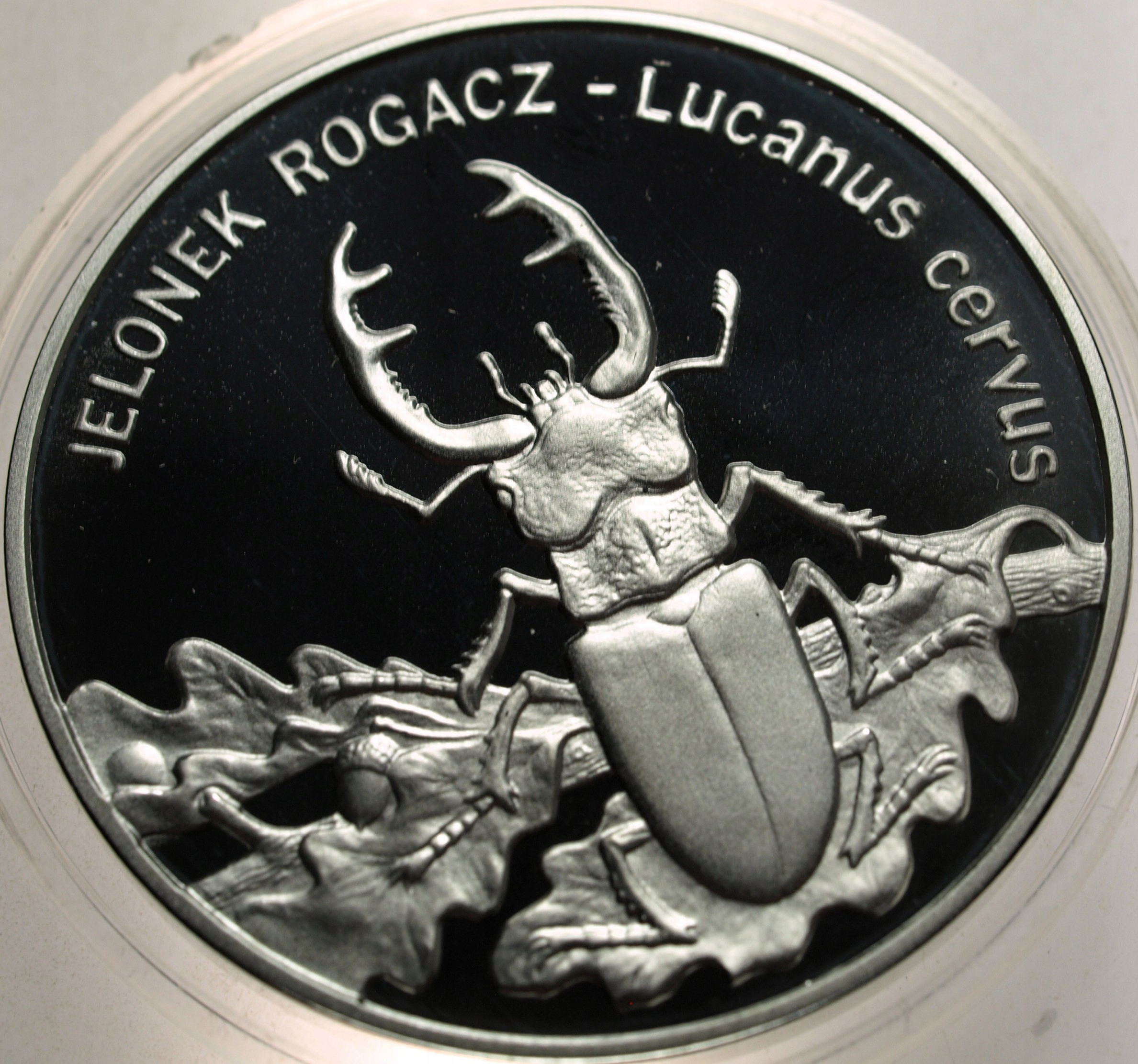 Zdjęcie 18463452546_0