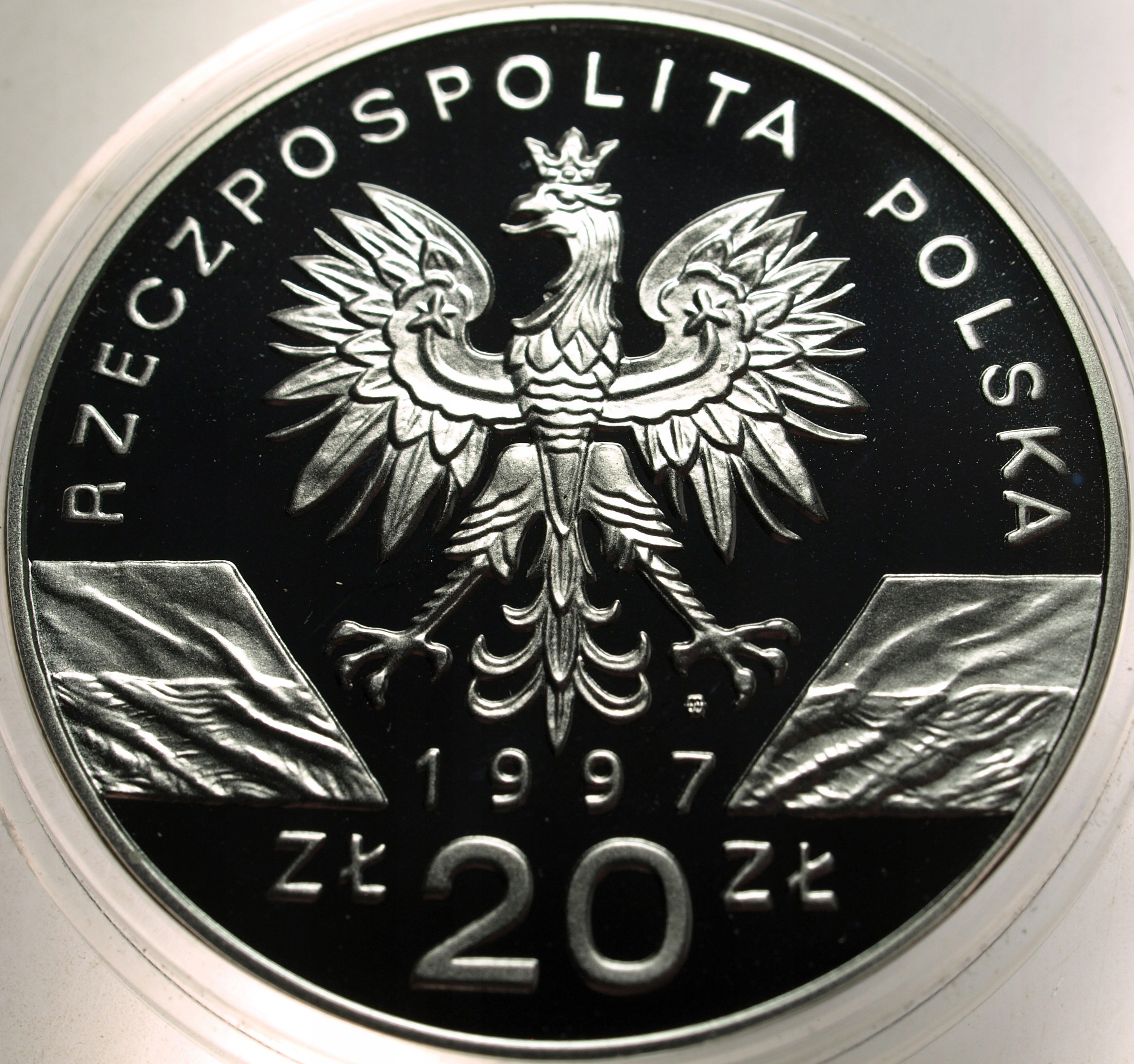 Zdjęcie 18463452546_1