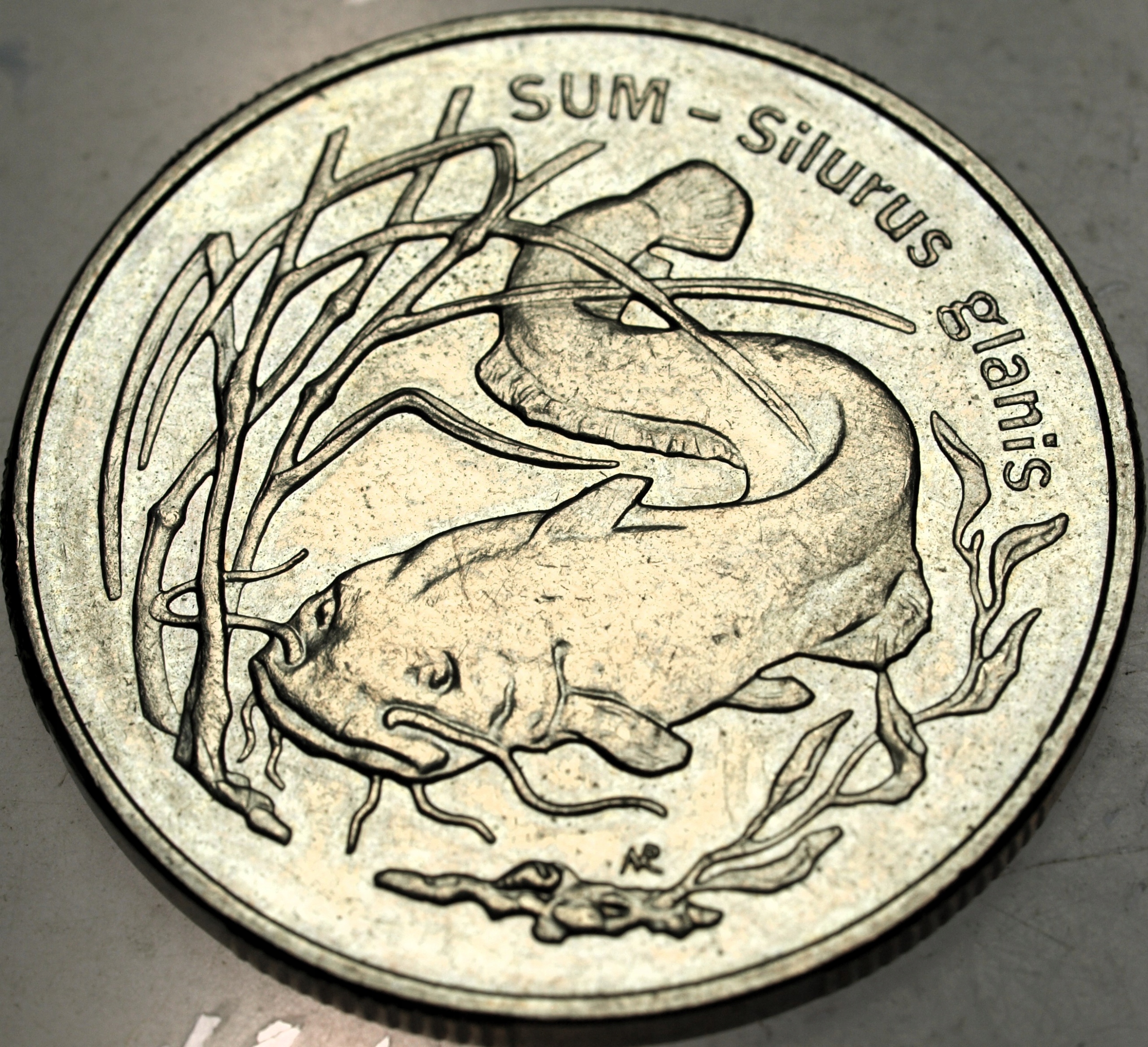 Zdjęcie 18466688986_0