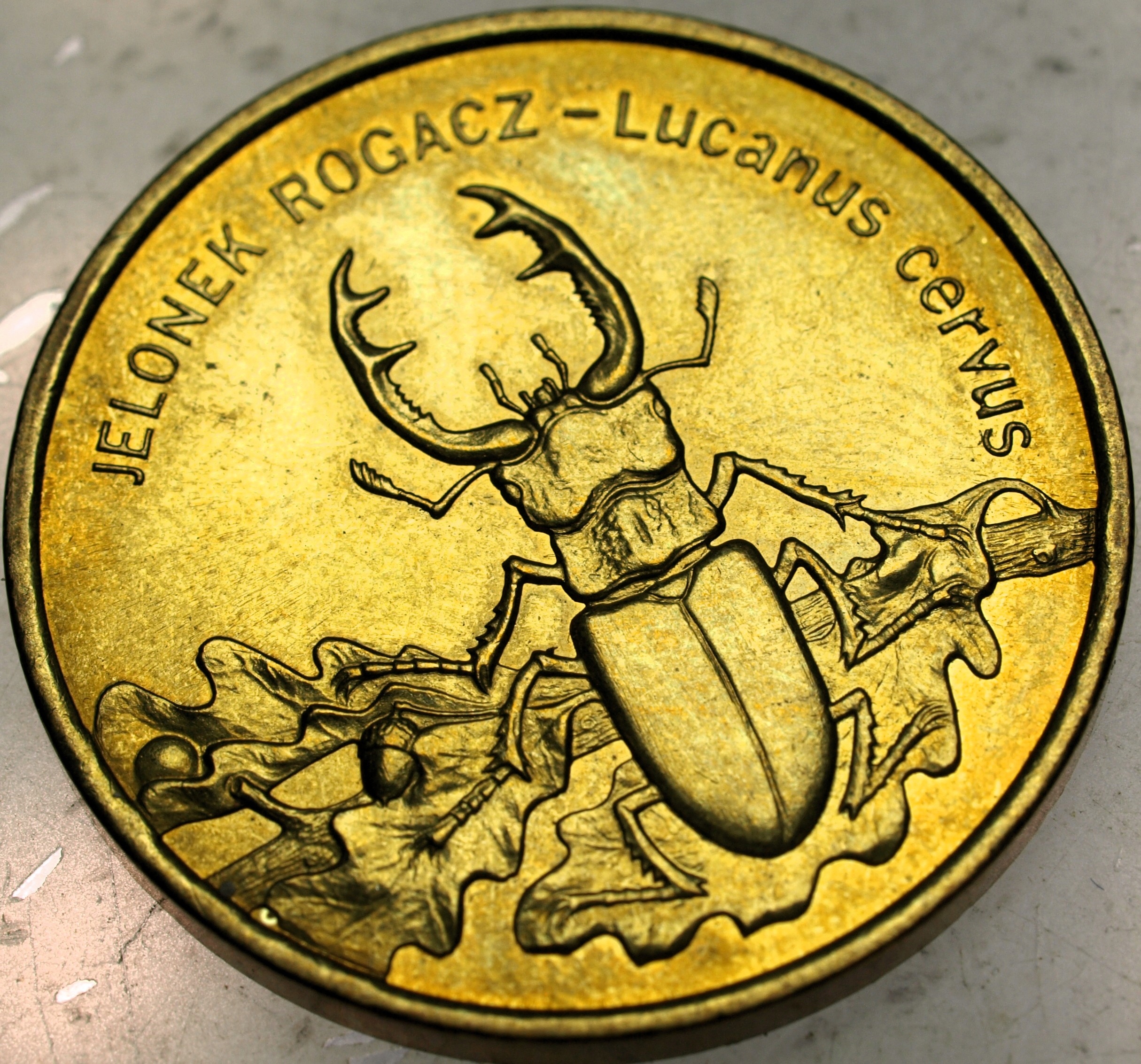 Zdjęcie 18466691412_0