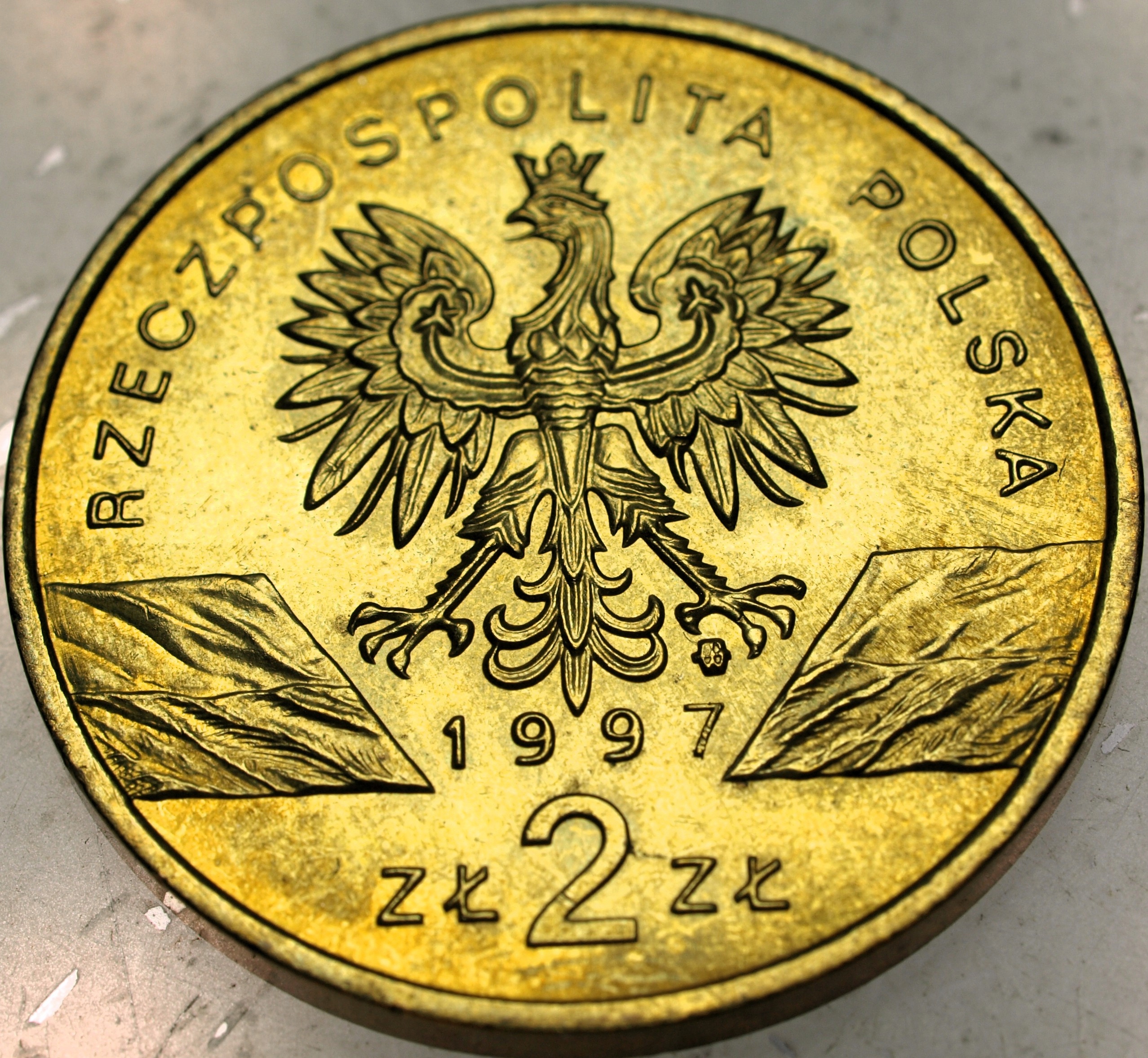 Zdjęcie 18466691412_1