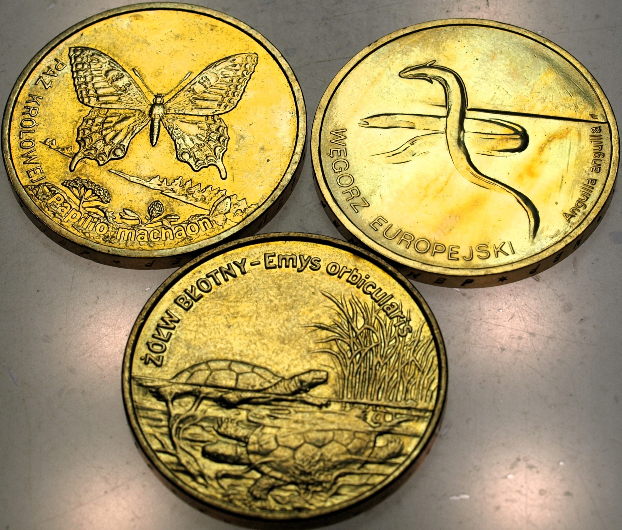 Zdjęcie 18466710060_0