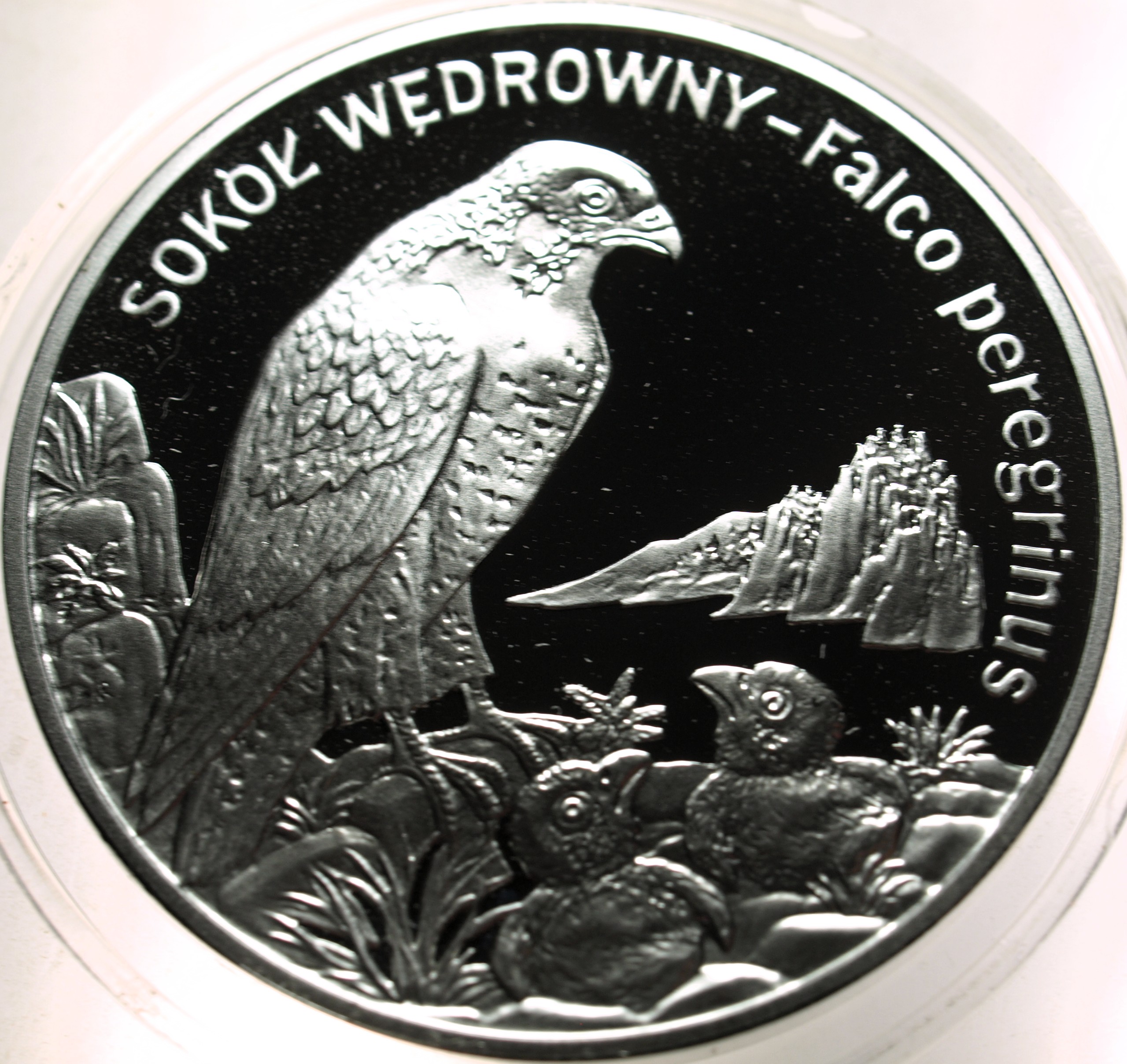 Zdjęcie 18466726394_0