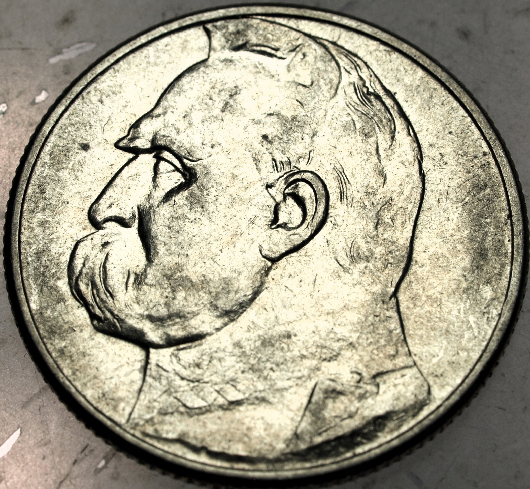 Zdjęcie 18469307637_0