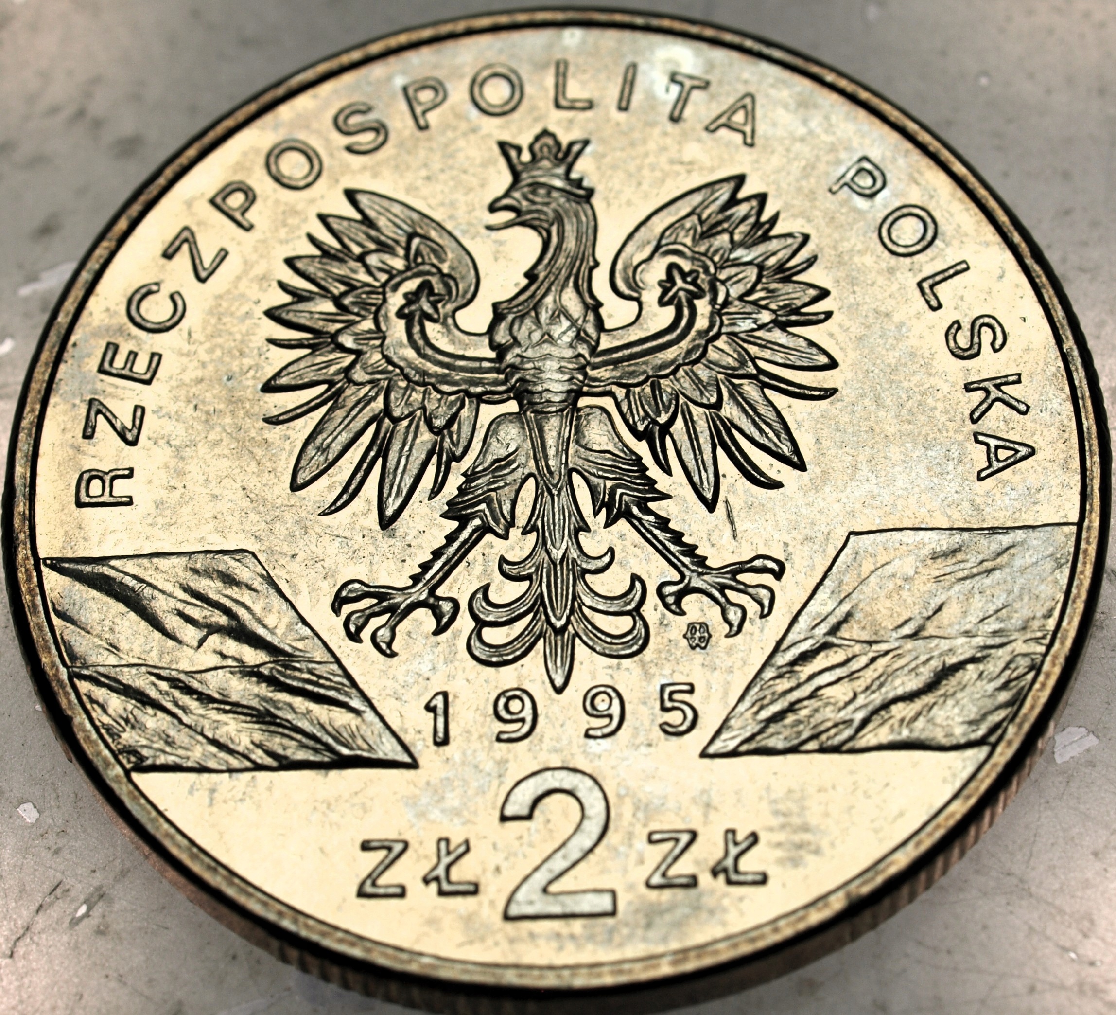 Zdjęcie 18469319393_1