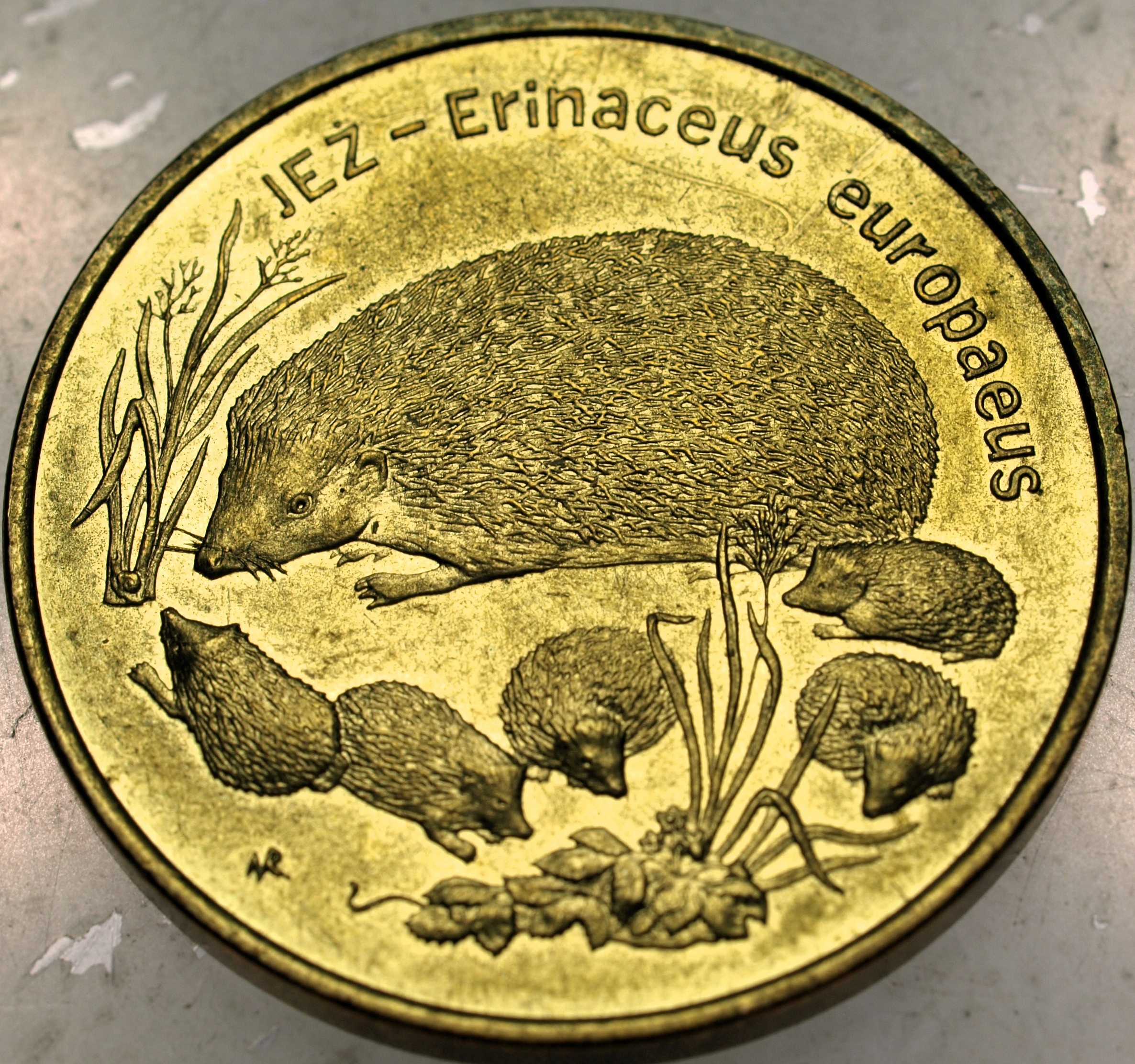 Zdjęcie 18469324344_0