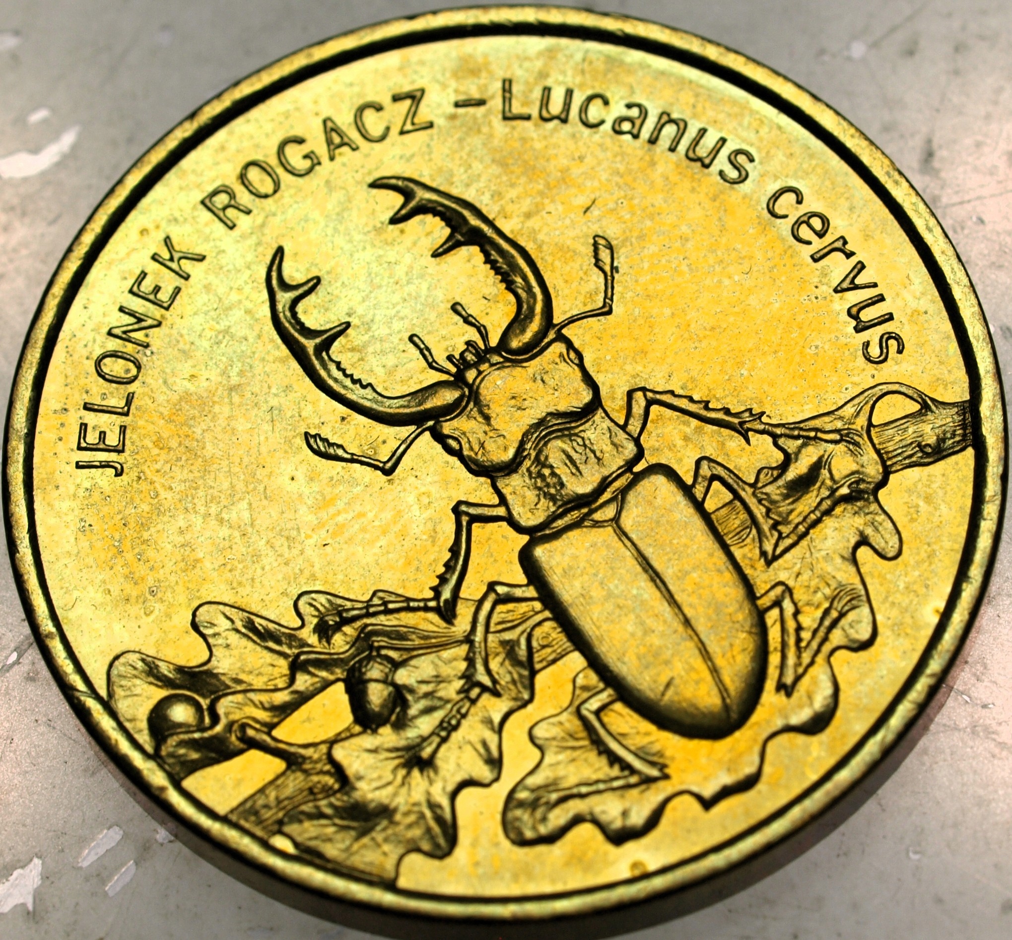 Zdjęcie 18469329968_0