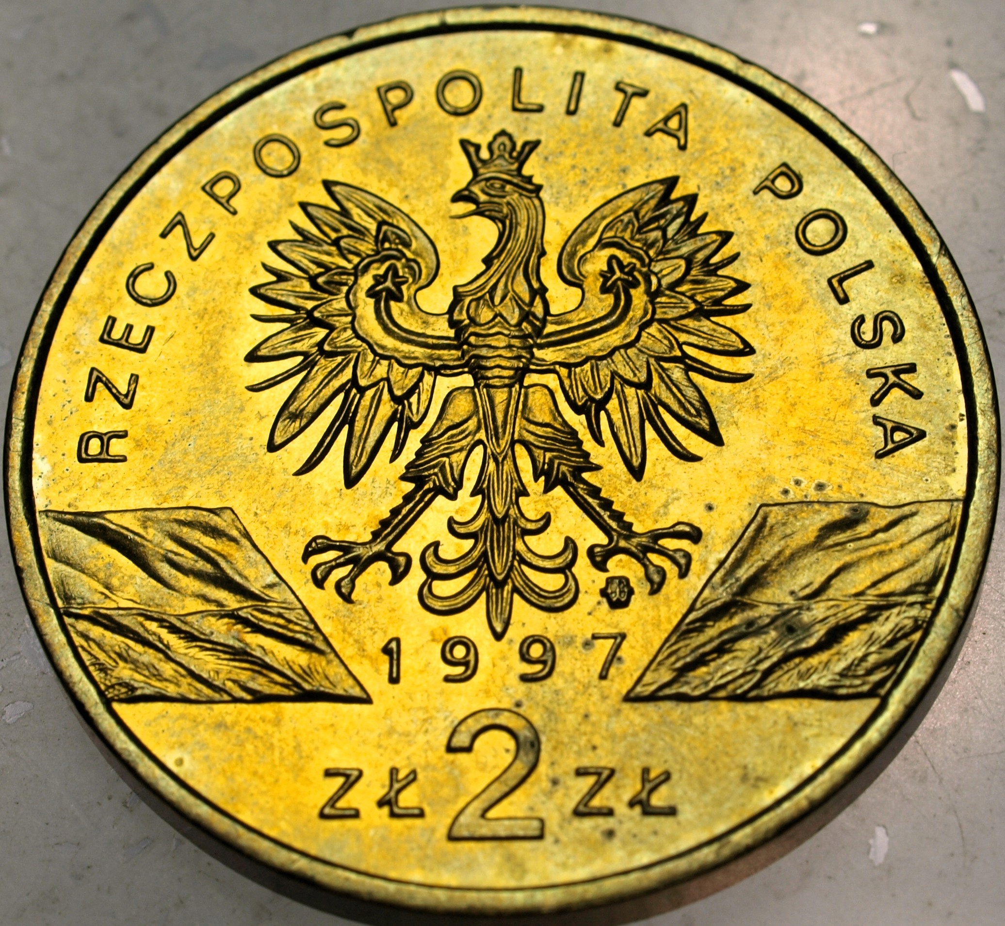 Zdjęcie 18469329968_1