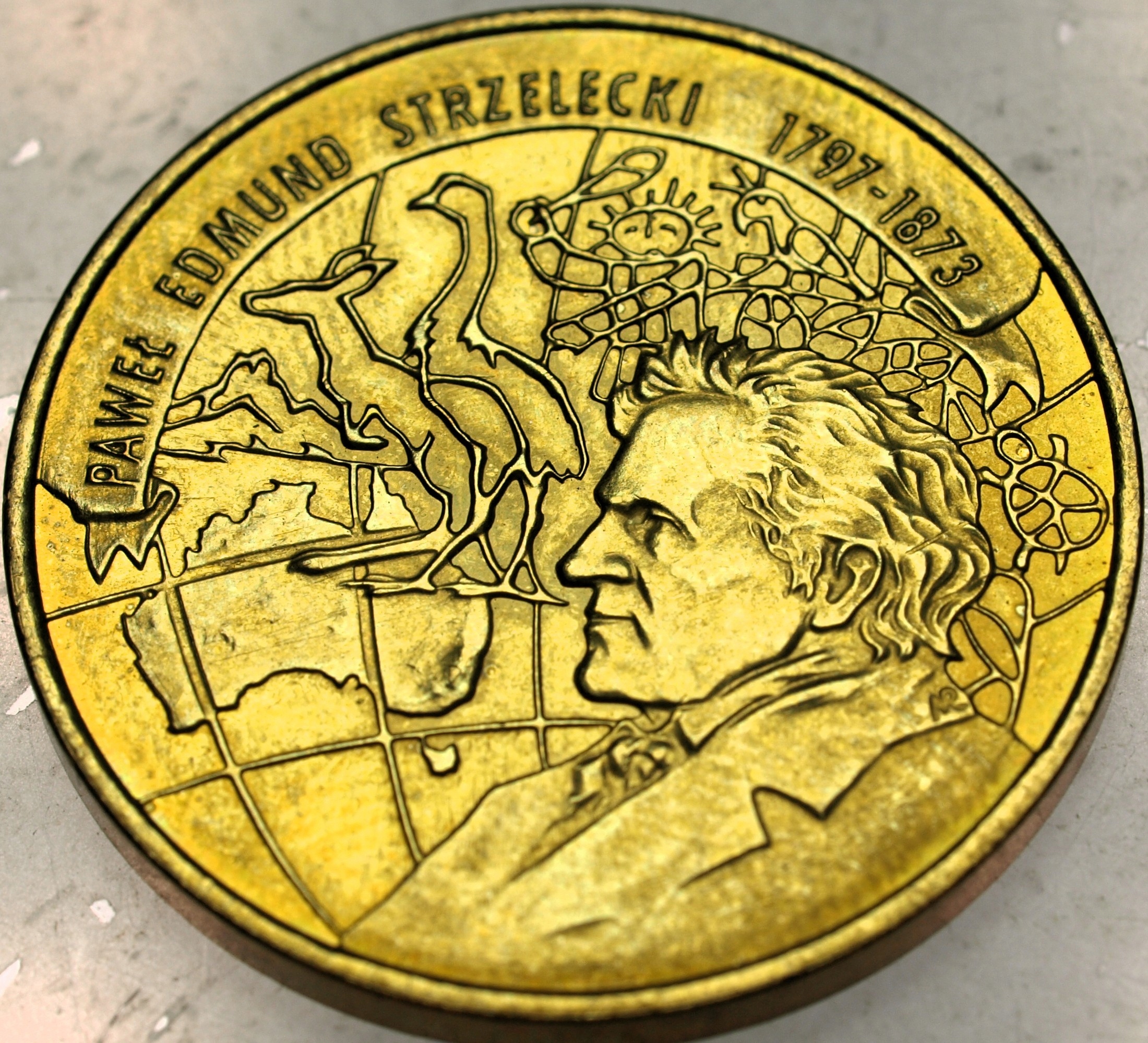 Zdjęcie 18469335234_0