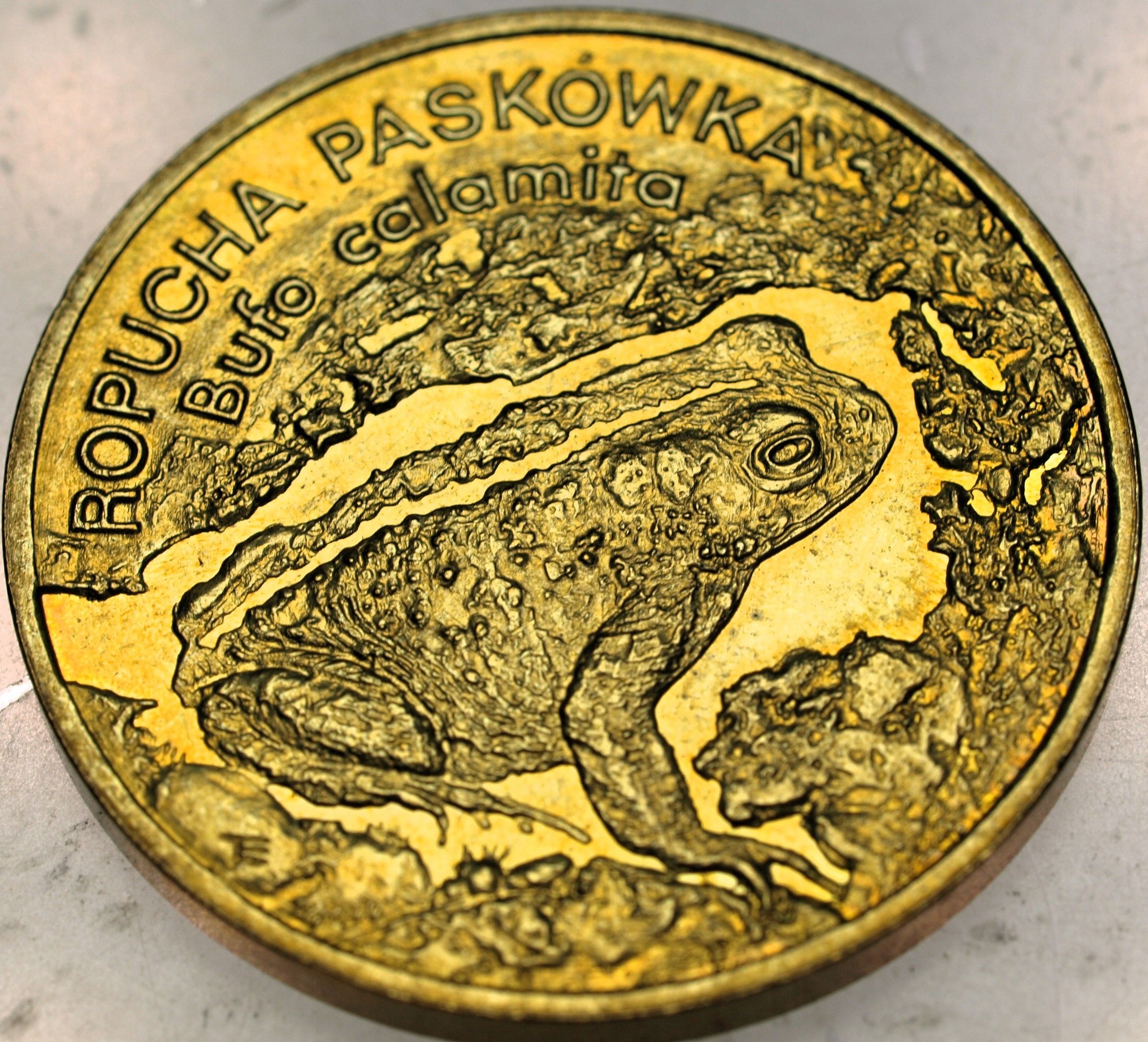 Zdjęcie 18469352614_0