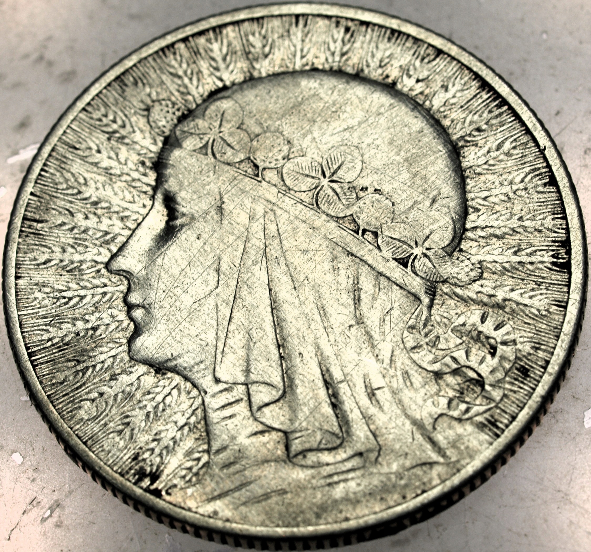 Zdjęcie 18469383573_0