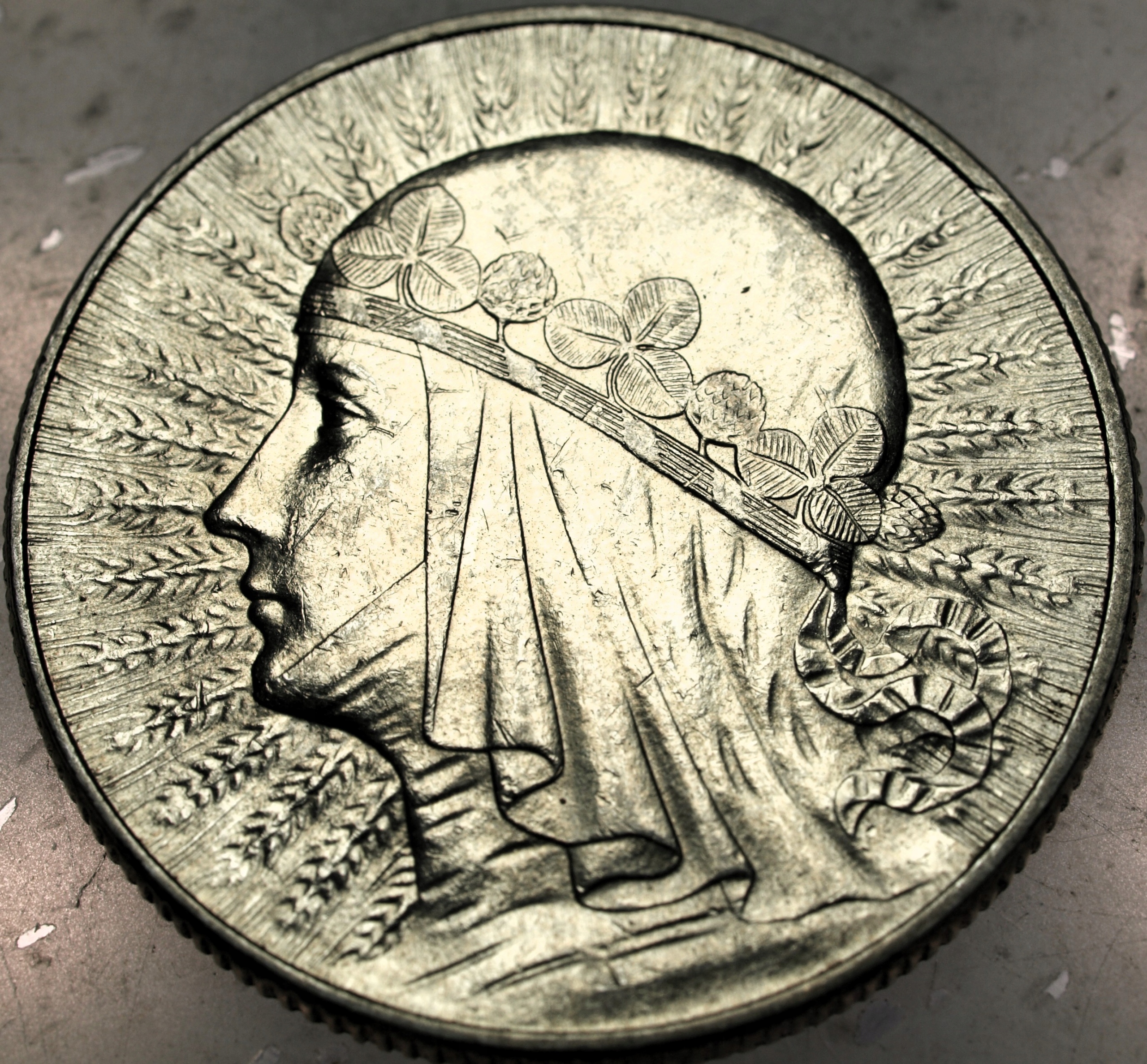 Zdjęcie 18469385810_0